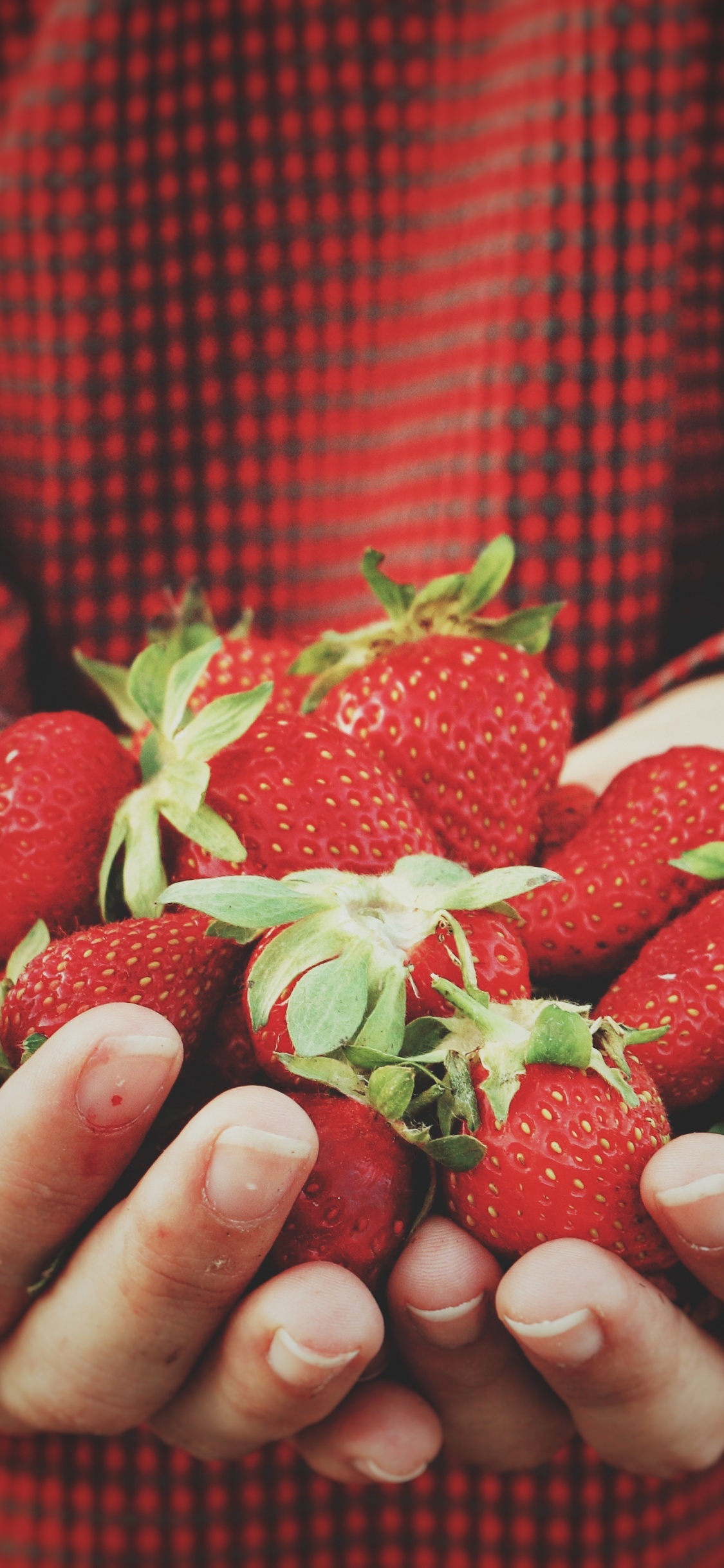 Person Holding Strawberries on Hand. Wallpaper in 1125x2436 Resolution