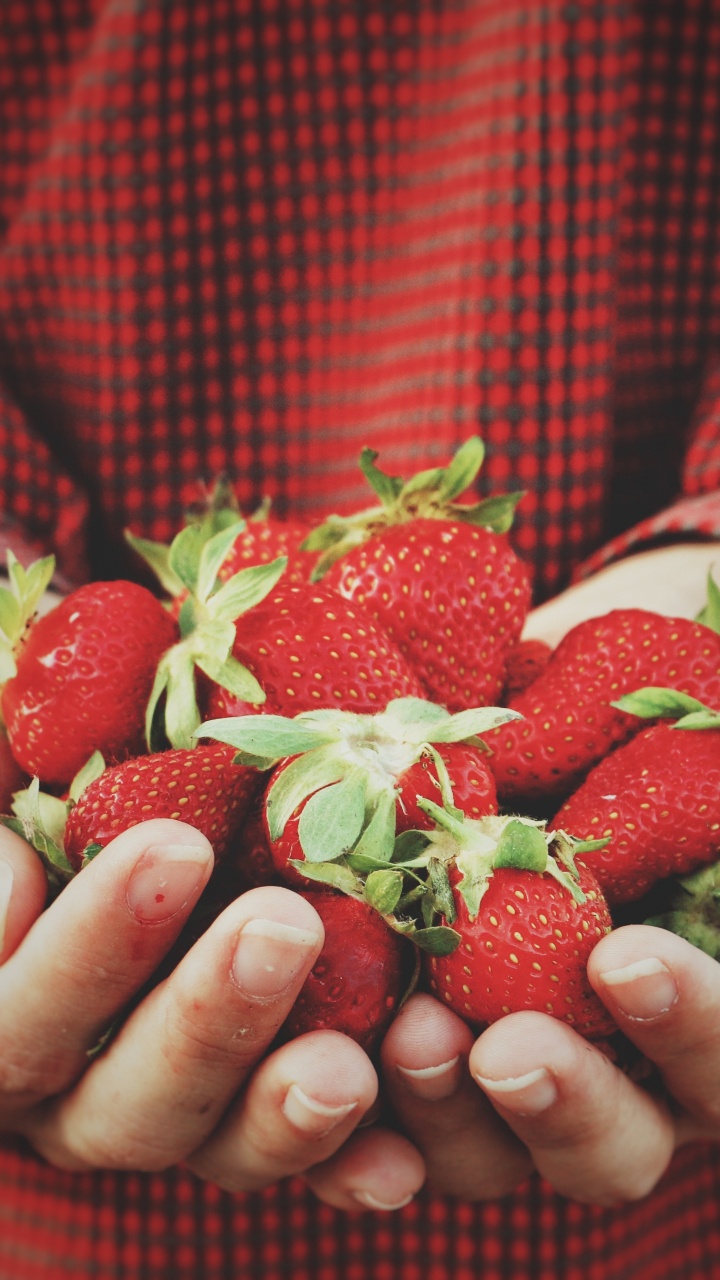 Person Holding Strawberries on Hand. Wallpaper in 720x1280 Resolution