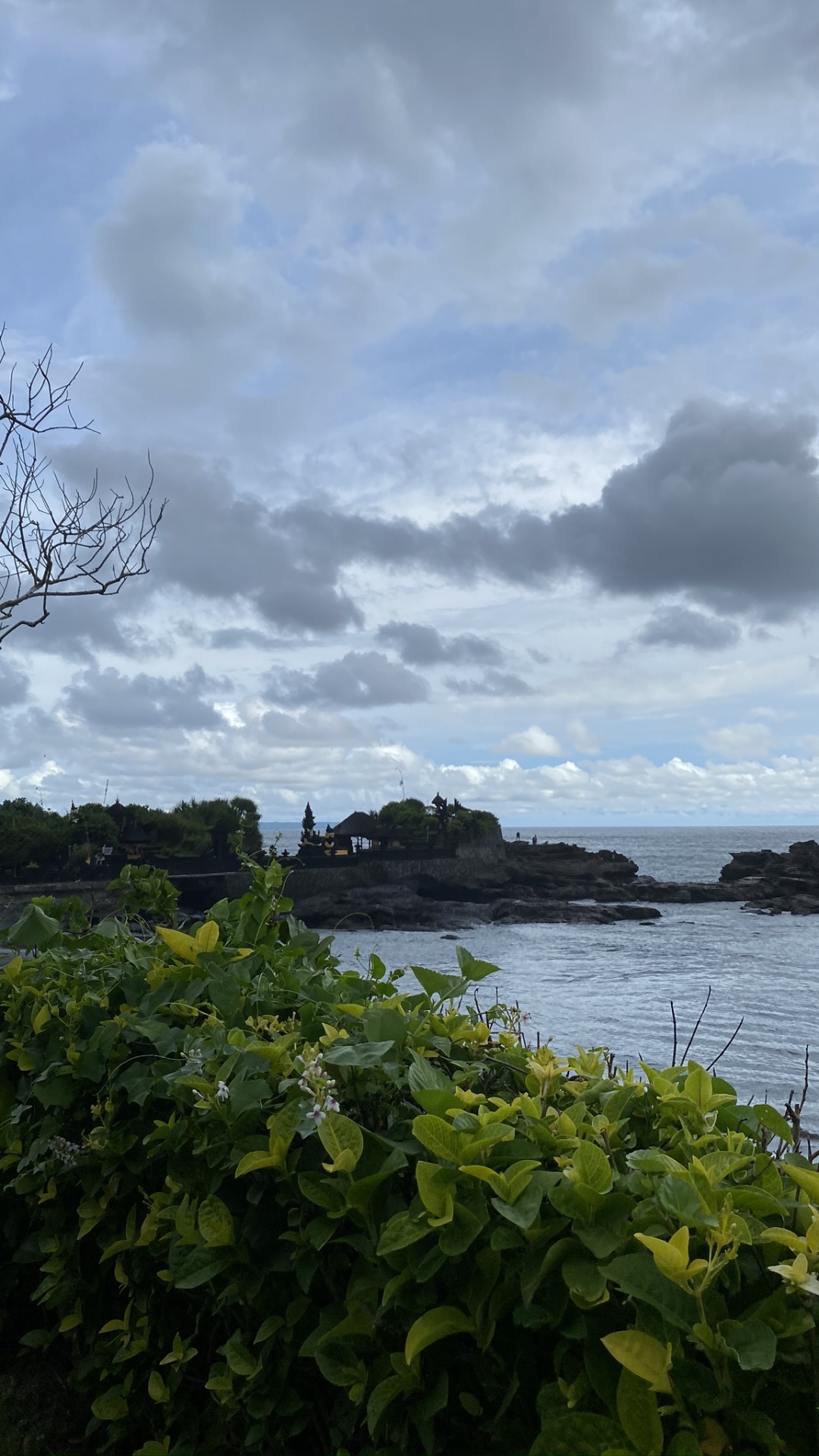 Eau, Feuille, Sciences, Végétation, Cumulus. Wallpaper in 1080x1920 Resolution