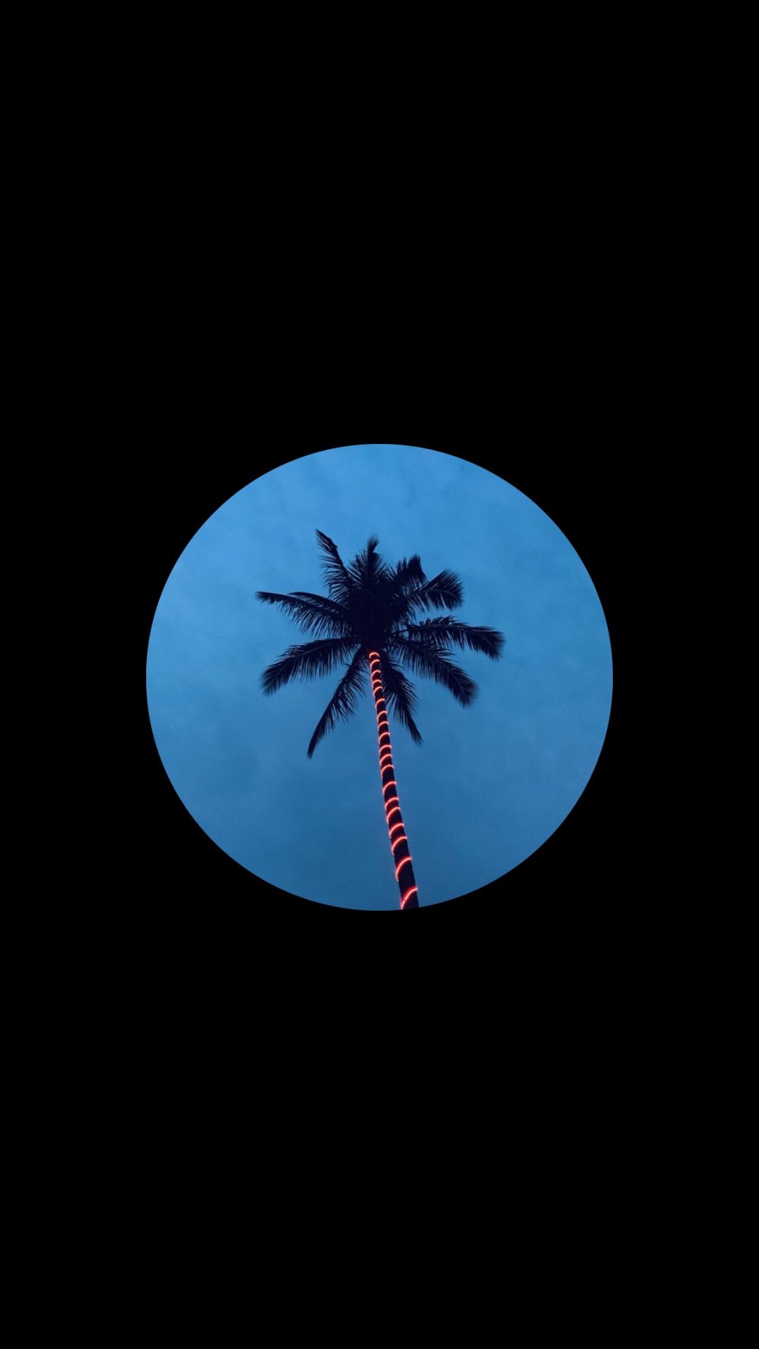 Amoled, Planta Leñosa, Azure, Azul Majorelle, Circulo. Wallpaper in 1080x1920 Resolution