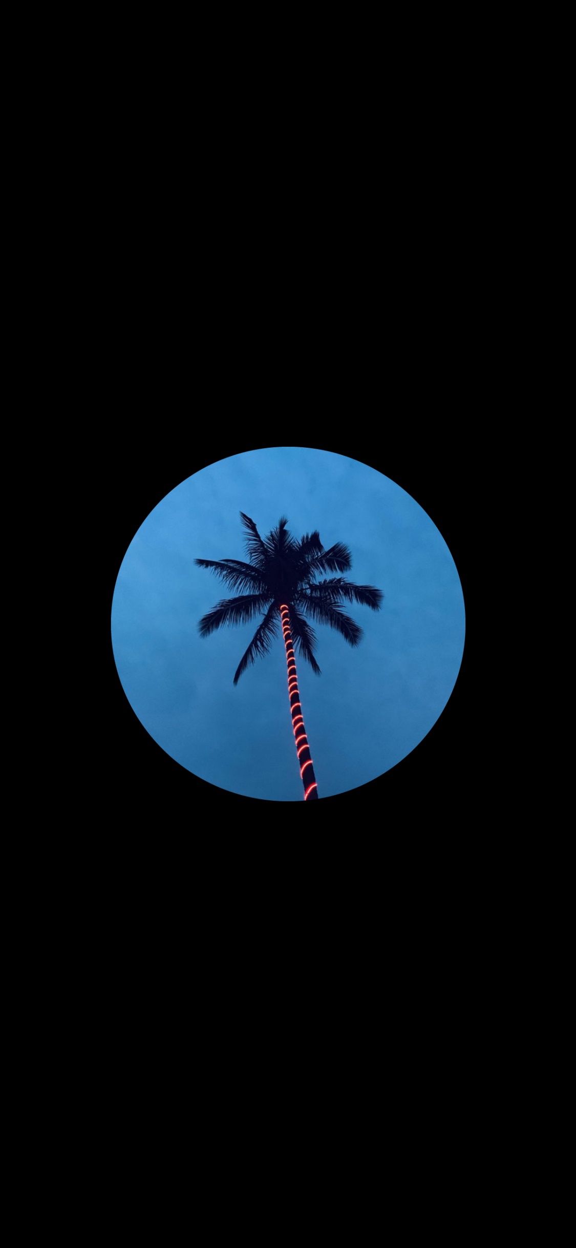 Amoled, Planta Leñosa, Azure, Azul Majorelle, Circulo. Wallpaper in 1125x2436 Resolution