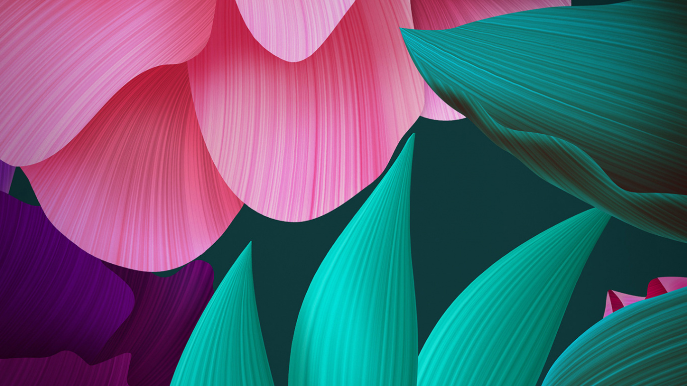 Rote Und Gelbe Blume in Nahaufnahmen. Wallpaper in 1366x768 Resolution