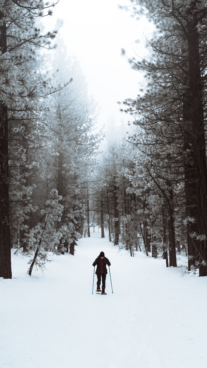 Persona Con Chaqueta Negra y Pantalón Azul Caminando Sobre un Terreno Cubierto de Nieve Cerca de Los Árboles Durante el Día. Wallpaper in 720x1280 Resolution