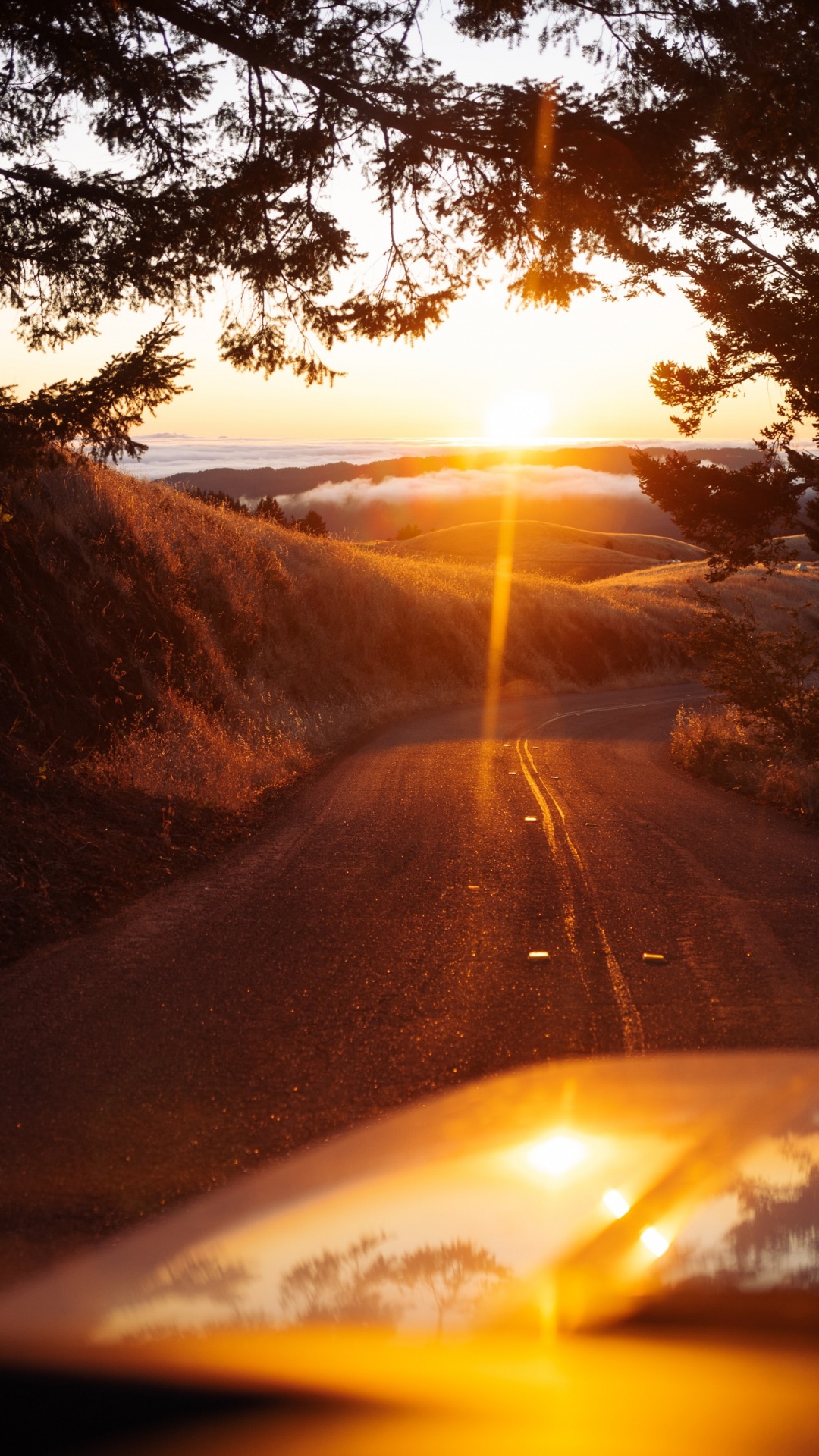 Sunset, Sunlight, Light, Road, Heat. Wallpaper in 1080x1920 Resolution