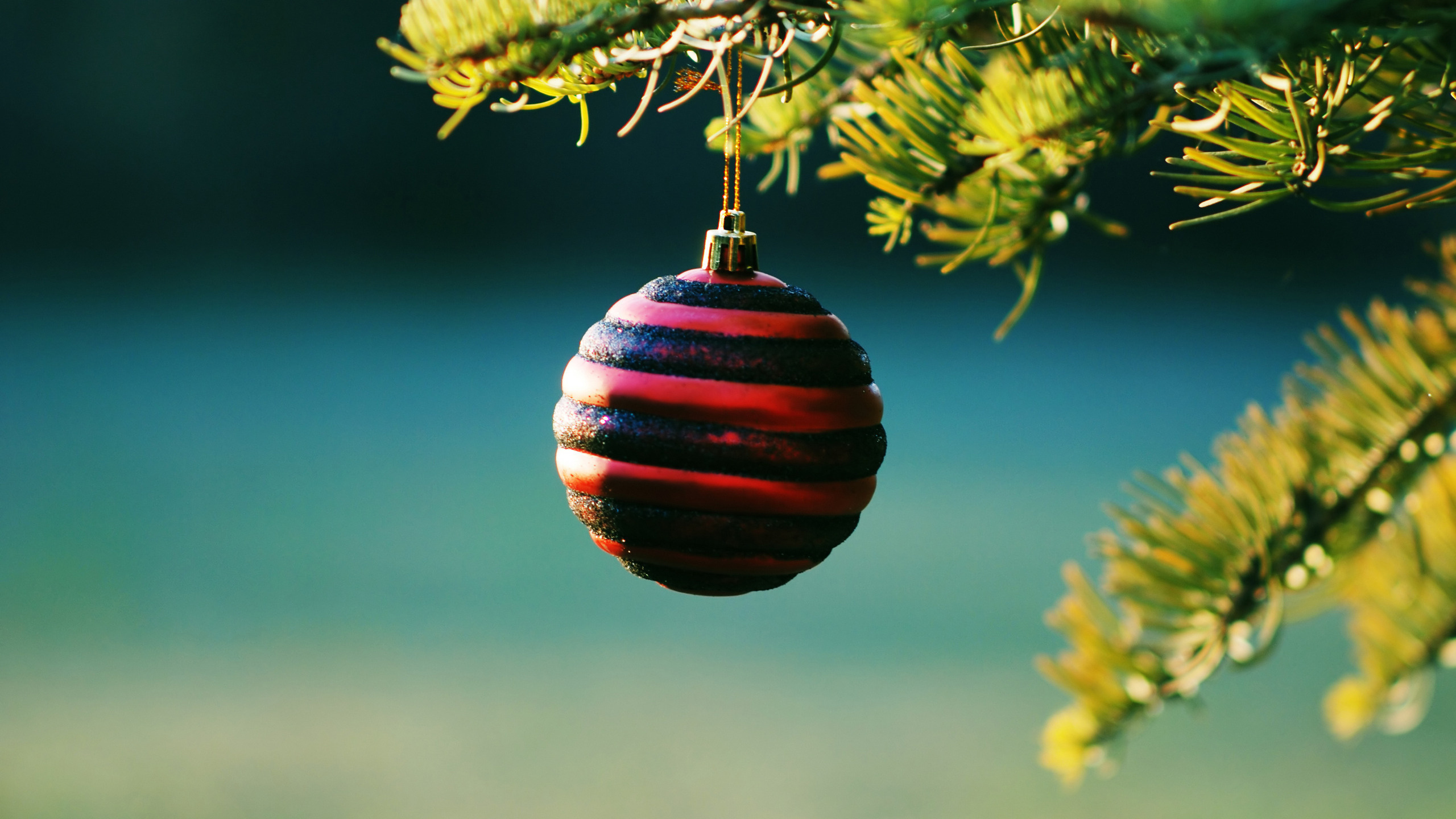Christmas Ornament, Christmas Day, New Year, Christmas Tree, Tree. Wallpaper in 2560x1440 Resolution