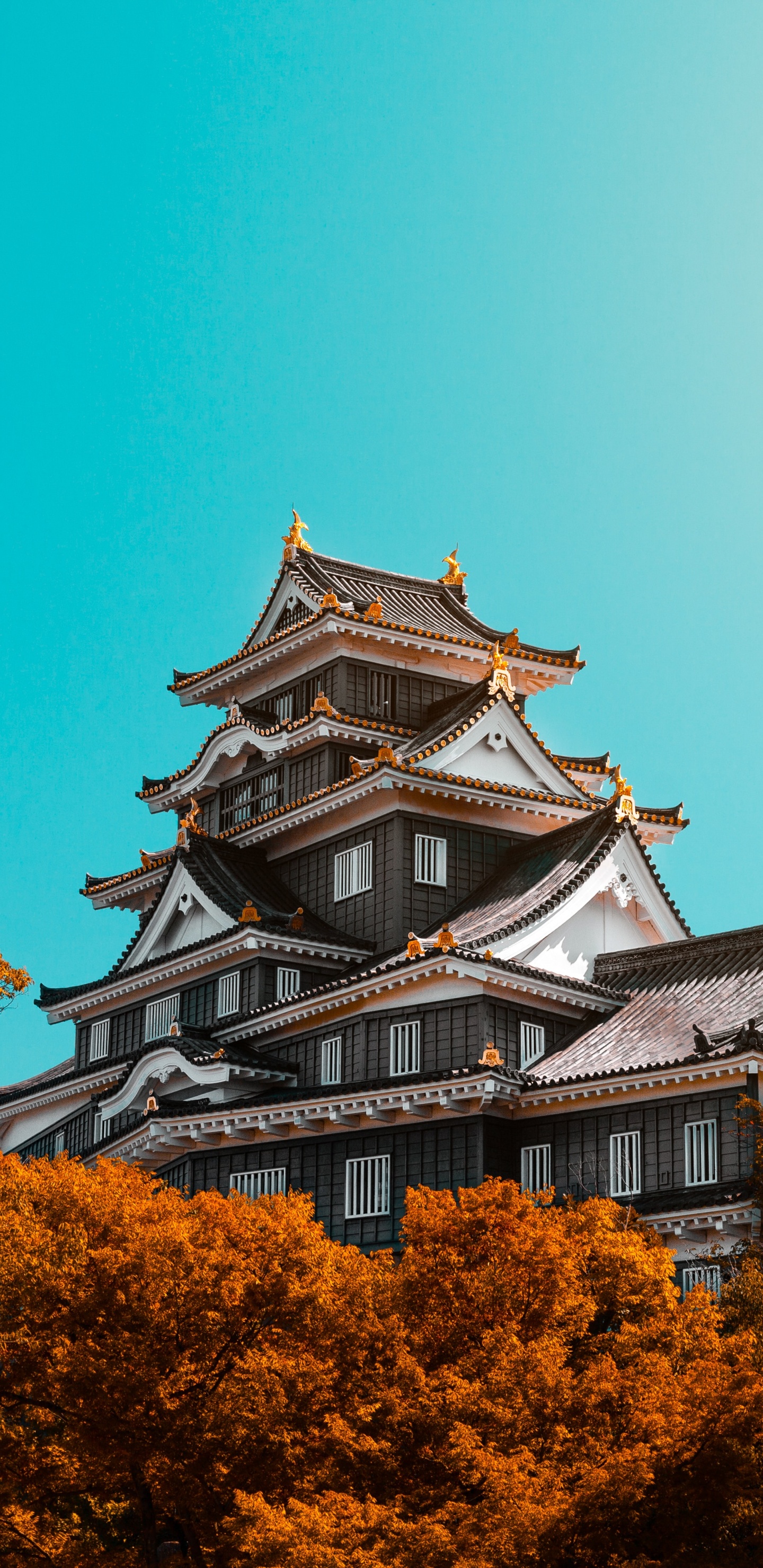 Templo Blanco y Negro Bajo un Cielo Azul Durante el Día. Wallpaper in 1440x2960 Resolution