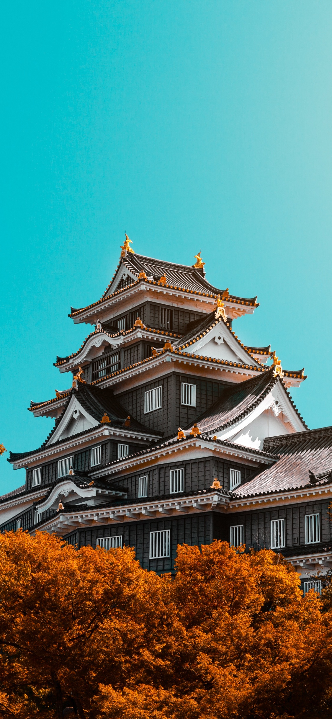 White and Black Temple Under Blue Sky During Daytime. Wallpaper in 1125x2436 Resolution