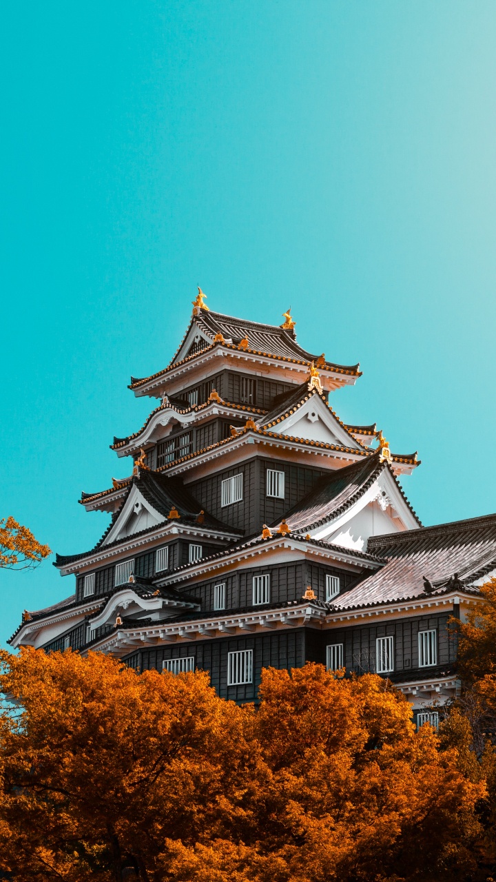 性质, 里程碑, 建筑, 自然景观, 木本植物 壁纸 720x1280 允许