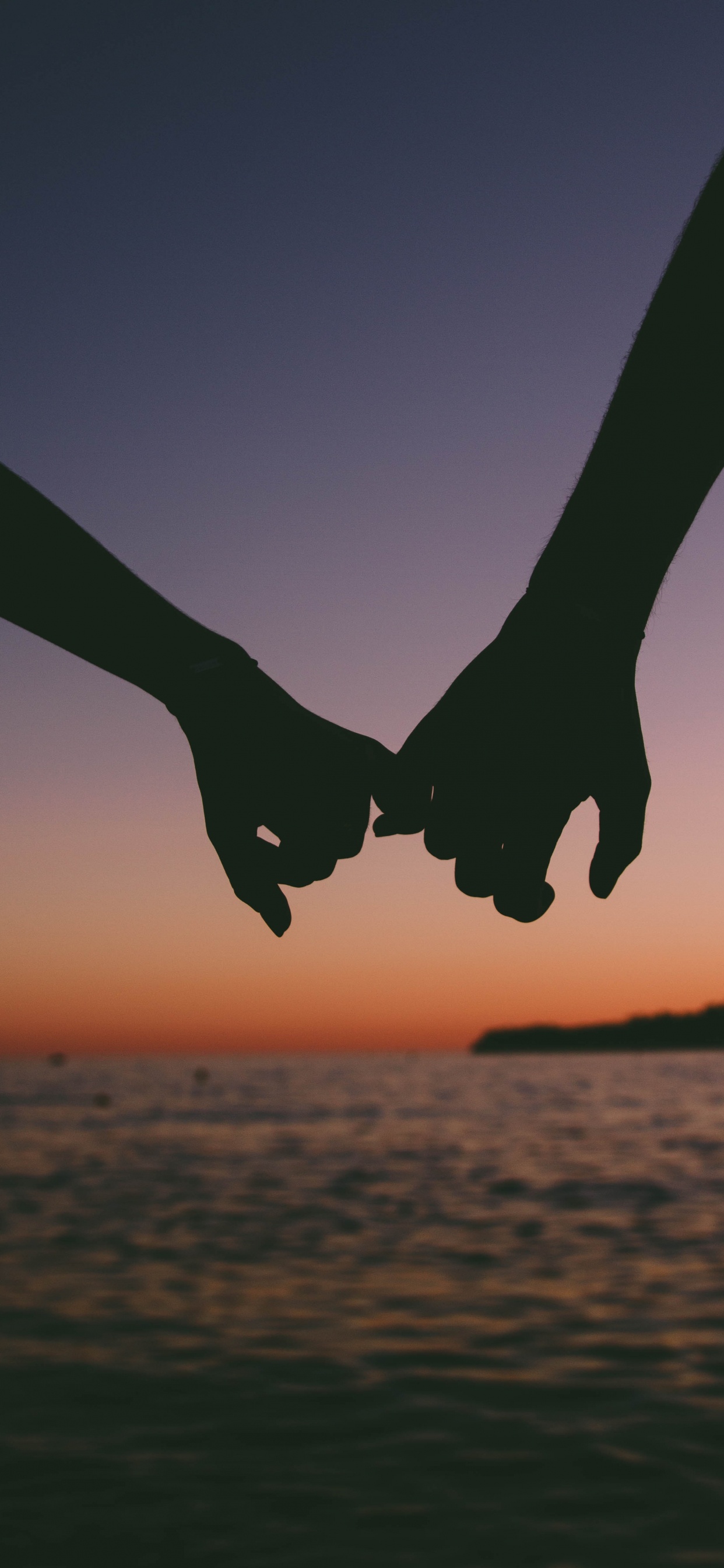 Livre, Ciel, Aile, Rencontres, Interaction. Wallpaper in 1242x2688 Resolution