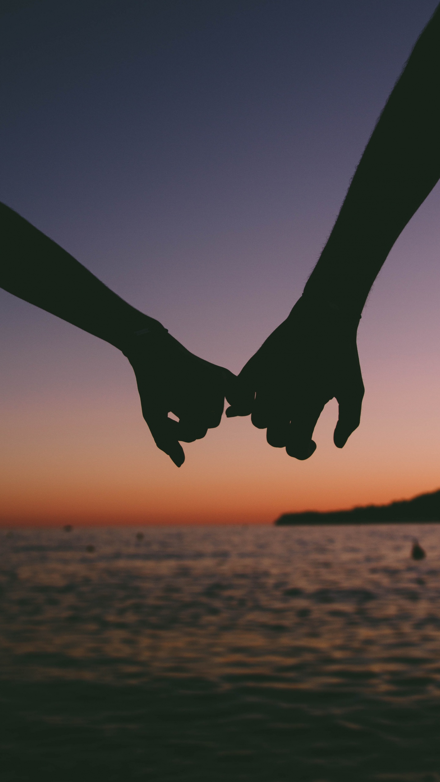 Livre, Ciel, Aile, Rencontres, Interaction. Wallpaper in 1440x2560 Resolution