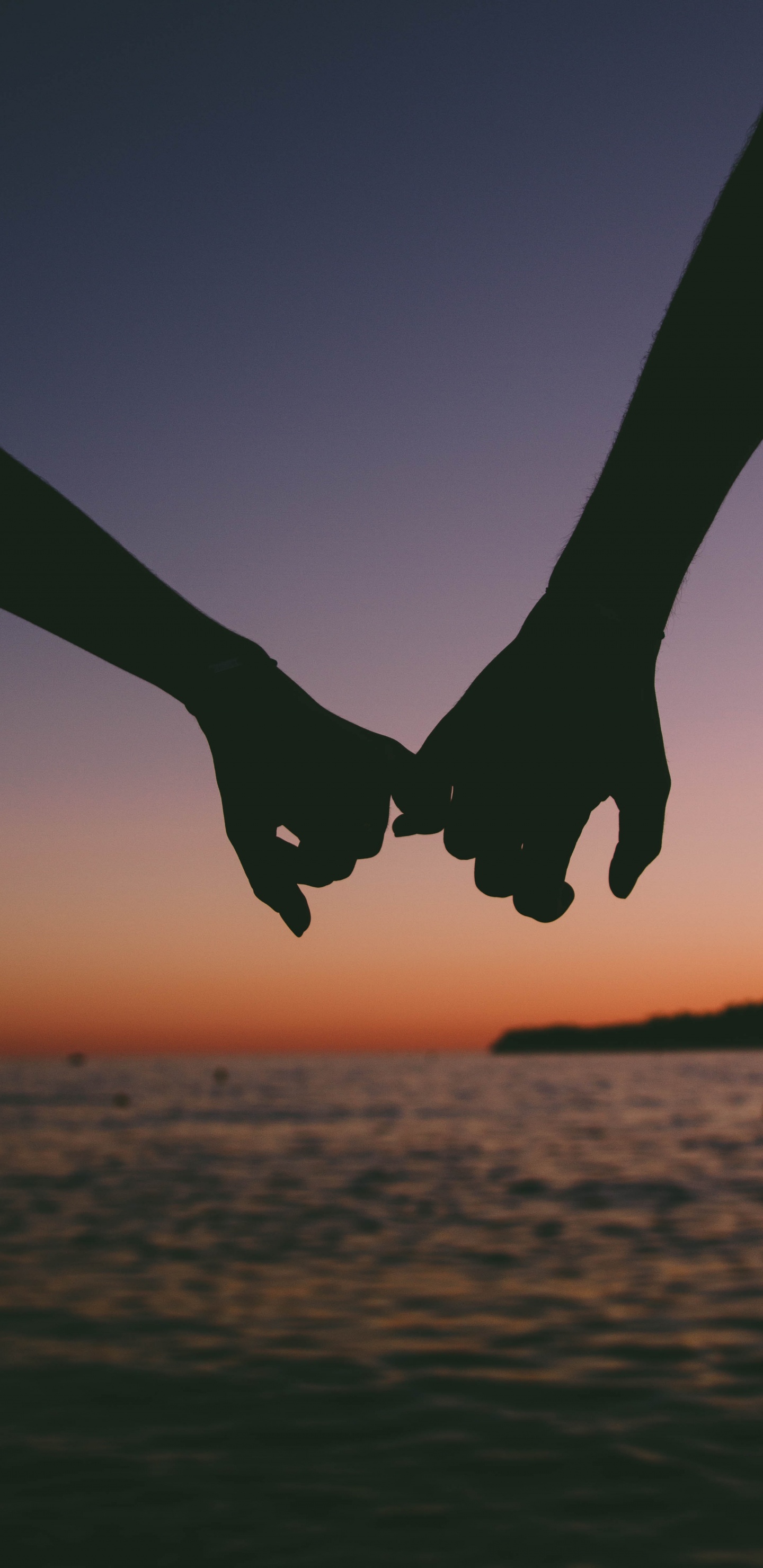 Livre, Ciel, Aile, Rencontres, Interaction. Wallpaper in 1440x2960 Resolution