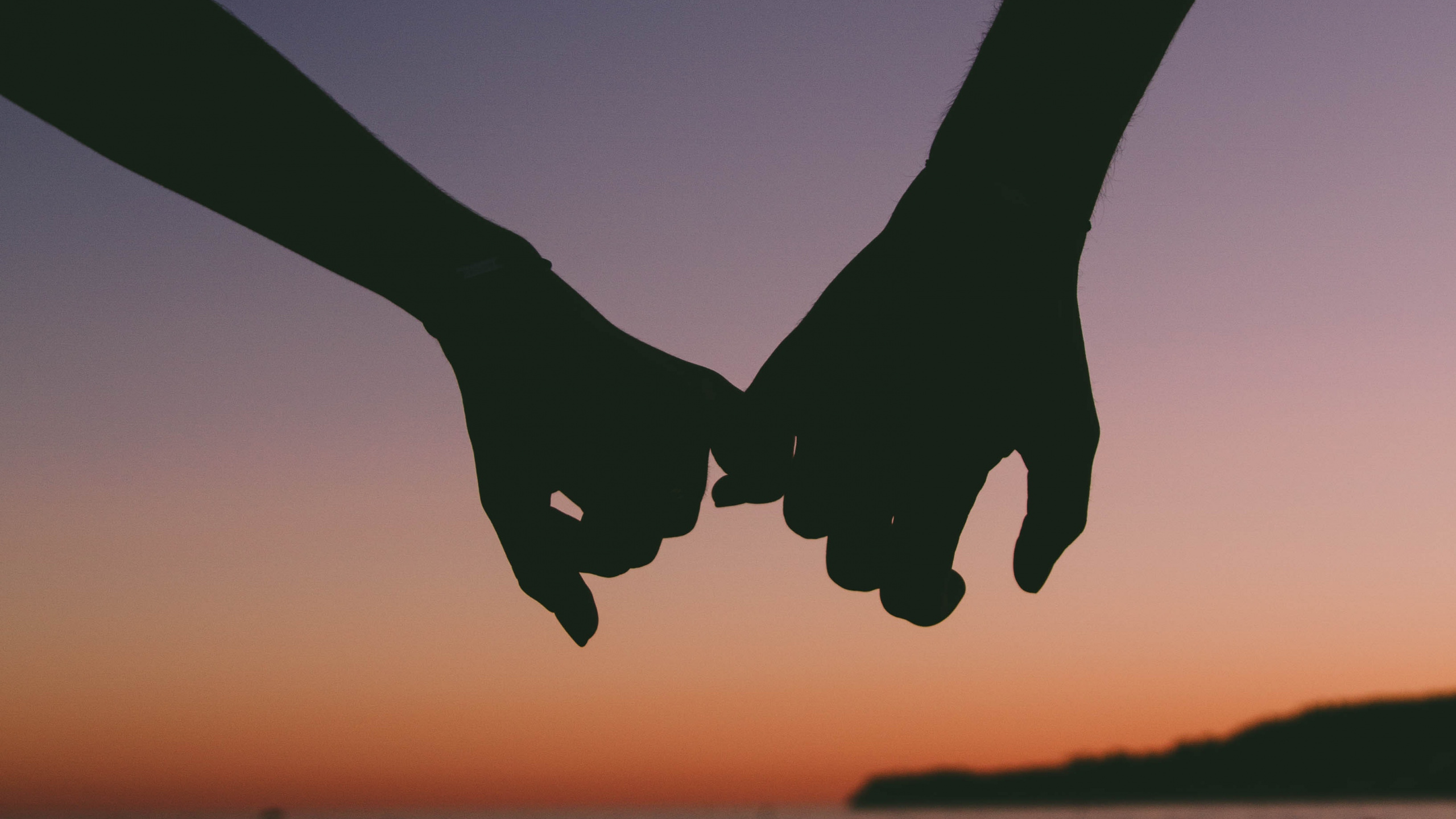 Livre, Ciel, Aile, Rencontres, Interaction. Wallpaper in 2560x1440 Resolution