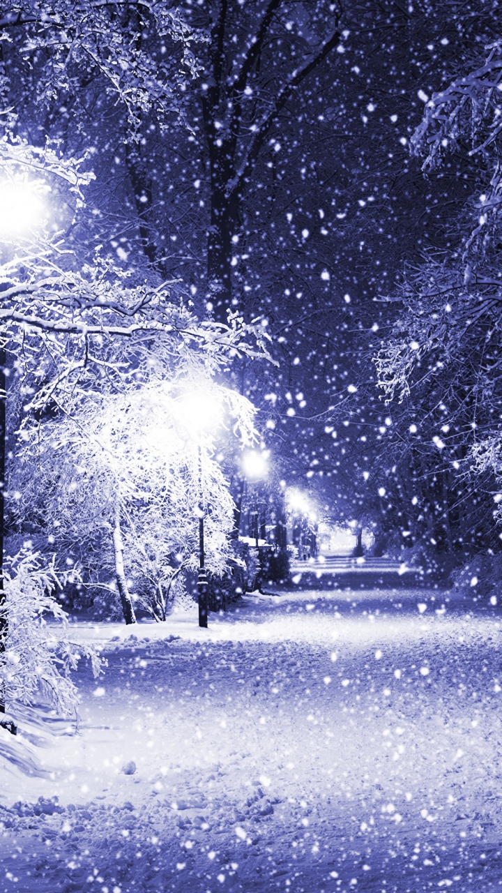 冬天, 性质, 冻结, 光, 紫色的 壁纸 720x1280 允许