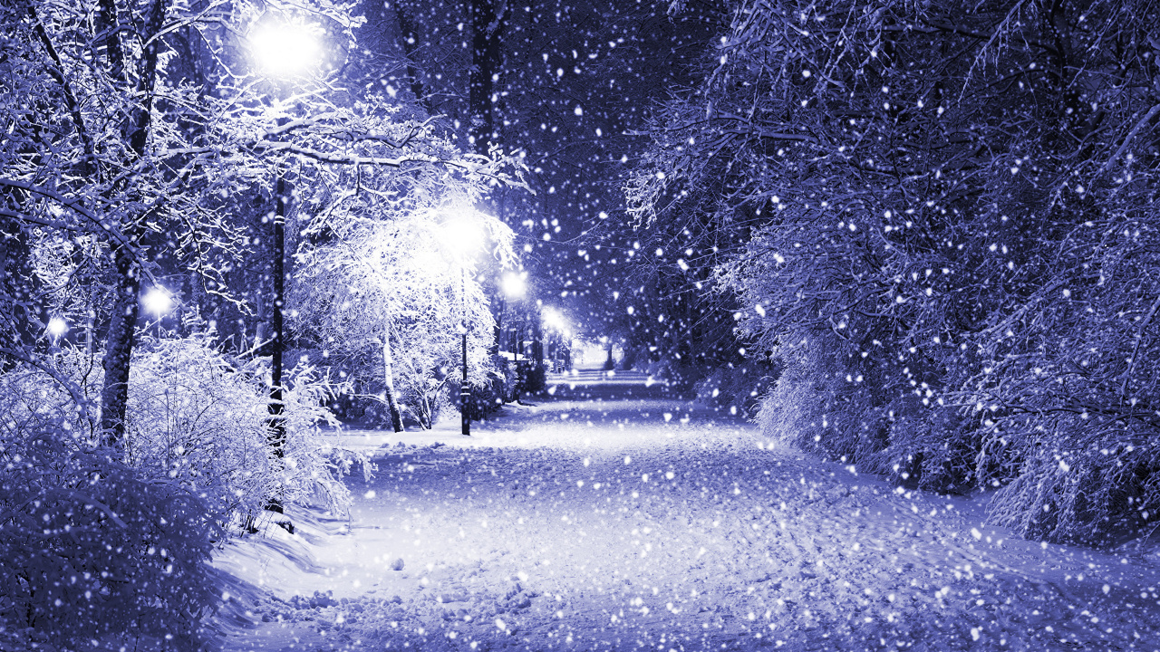 Schneebedeckte Straße Zwischen Bäumen Tagsüber. Wallpaper in 1280x720 Resolution