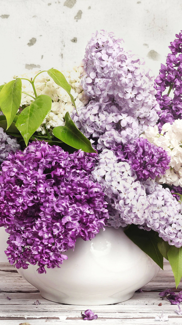 Fleurs Violettes et Blanches Dans un Vase en Céramique Blanche. Wallpaper in 750x1334 Resolution