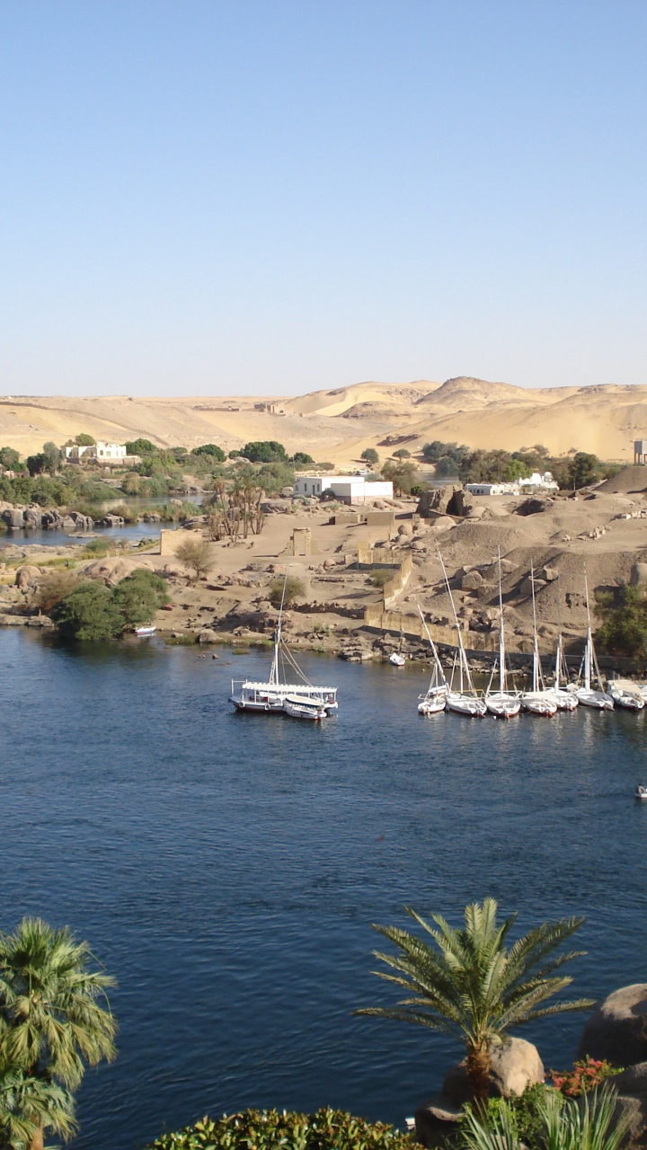 卢克索, 阿斯旺, Wadi, 植物群, 大海 壁纸 720x1280 允许