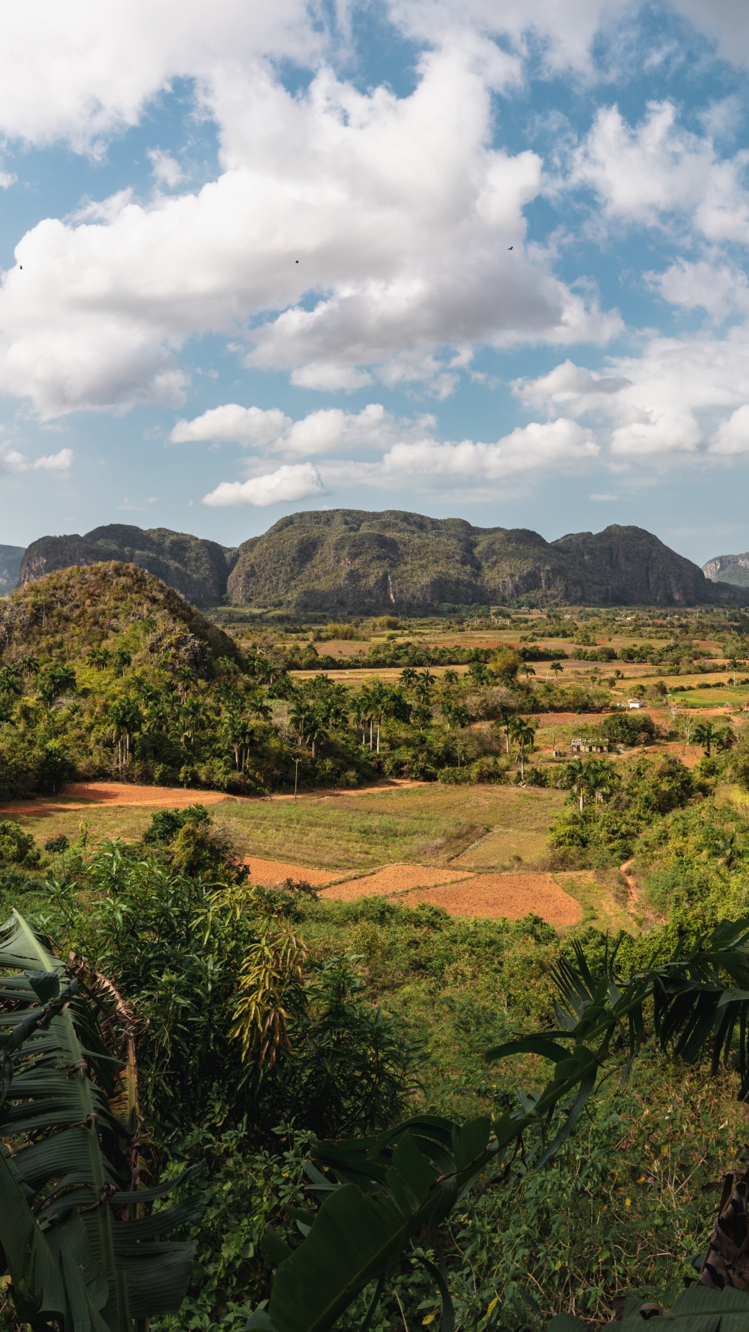 el Valle Del Silencio, el Pueblo, la Habana, Brisas Del Caribe, Luberon. Wallpaper in 1080x1920 Resolution
