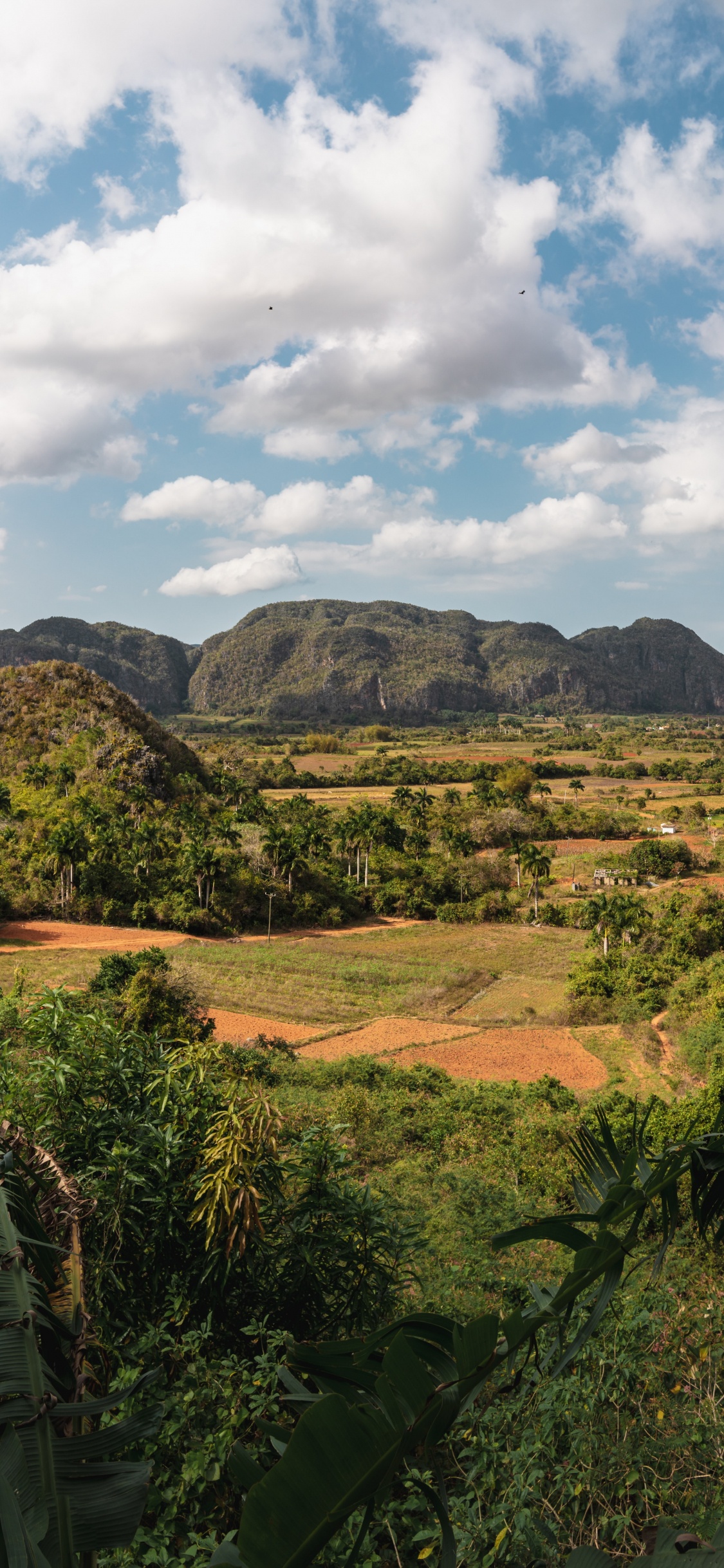 el Valle Del Silencio, el Pueblo, la Habana, Brisas Del Caribe, Luberon. Wallpaper in 1125x2436 Resolution