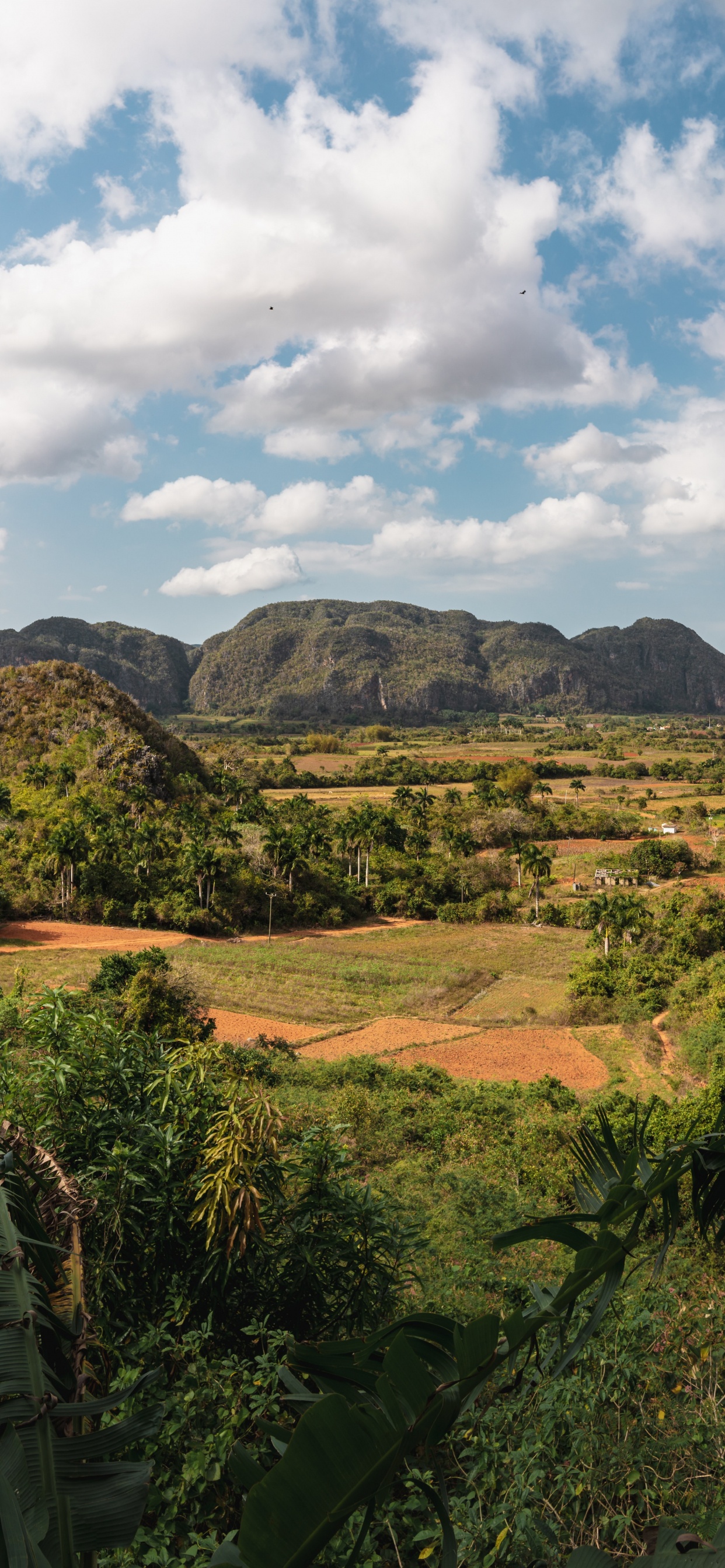 el Valle Del Silencio, el Pueblo, la Habana, Brisas Del Caribe, Luberon. Wallpaper in 1242x2688 Resolution