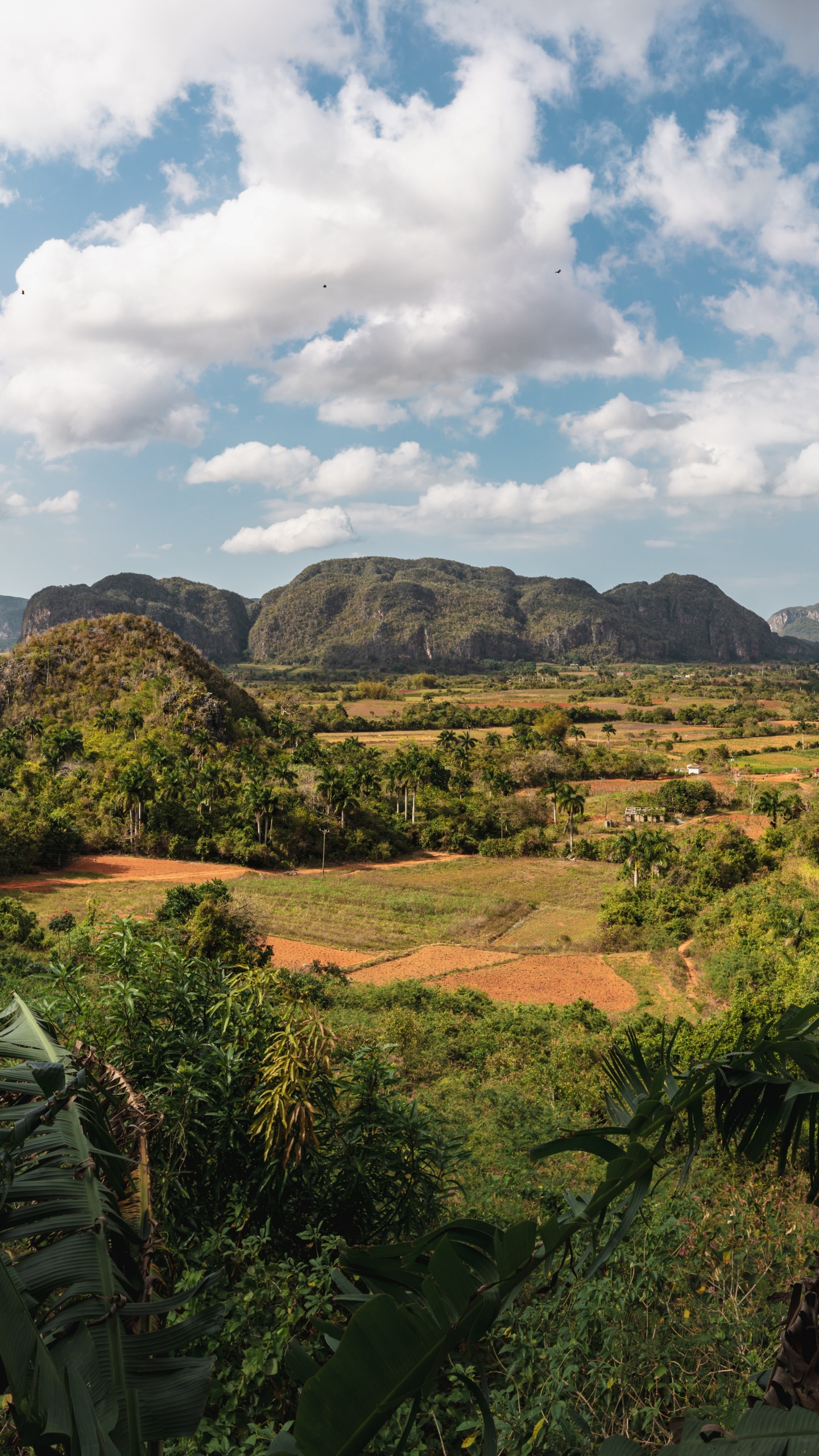 el Valle Del Silencio, el Pueblo, la Habana, Brisas Del Caribe, Luberon. Wallpaper in 1440x2560 Resolution