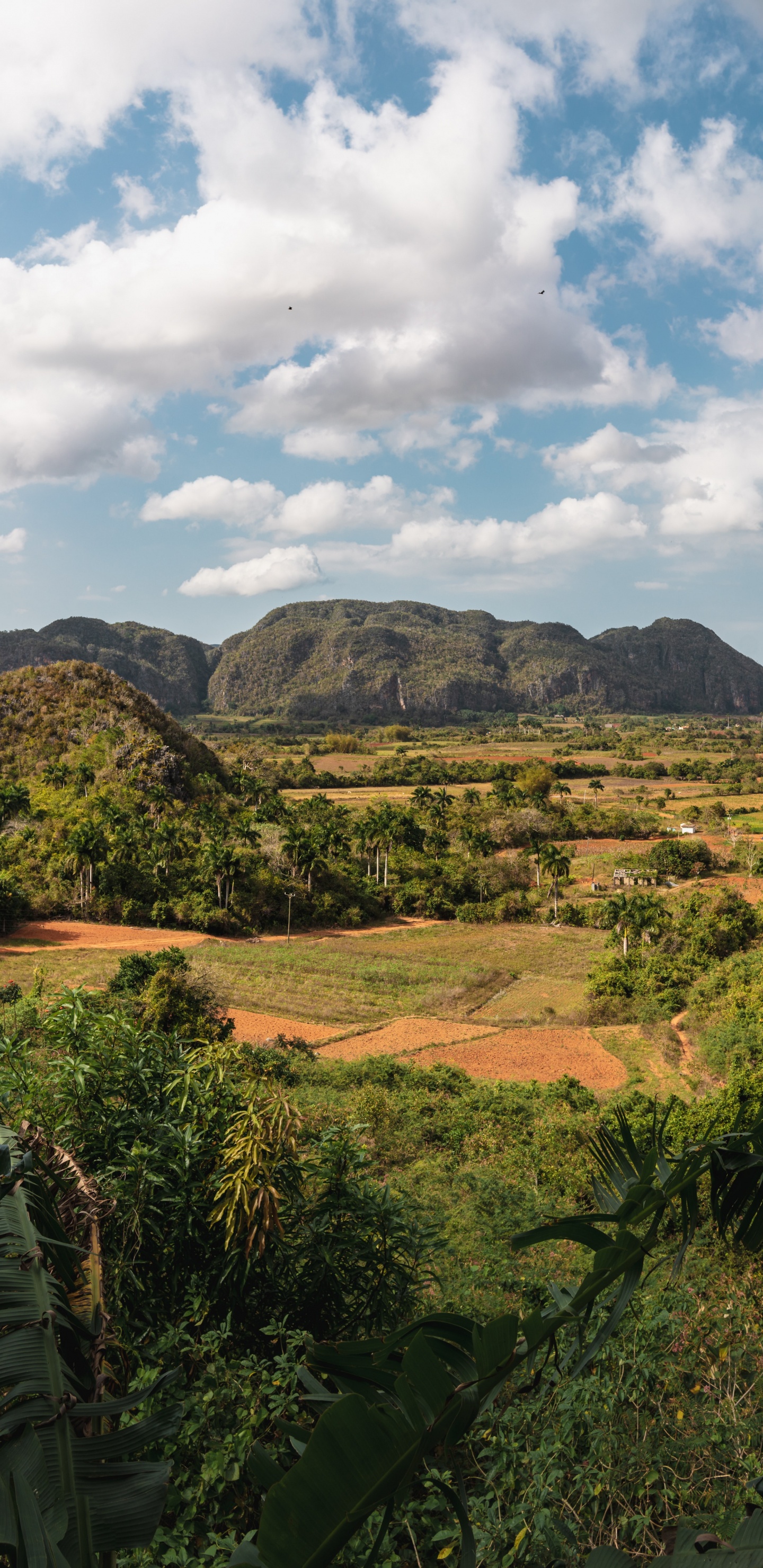el Valle Del Silencio, el Pueblo, la Habana, Brisas Del Caribe, Luberon. Wallpaper in 1440x2960 Resolution