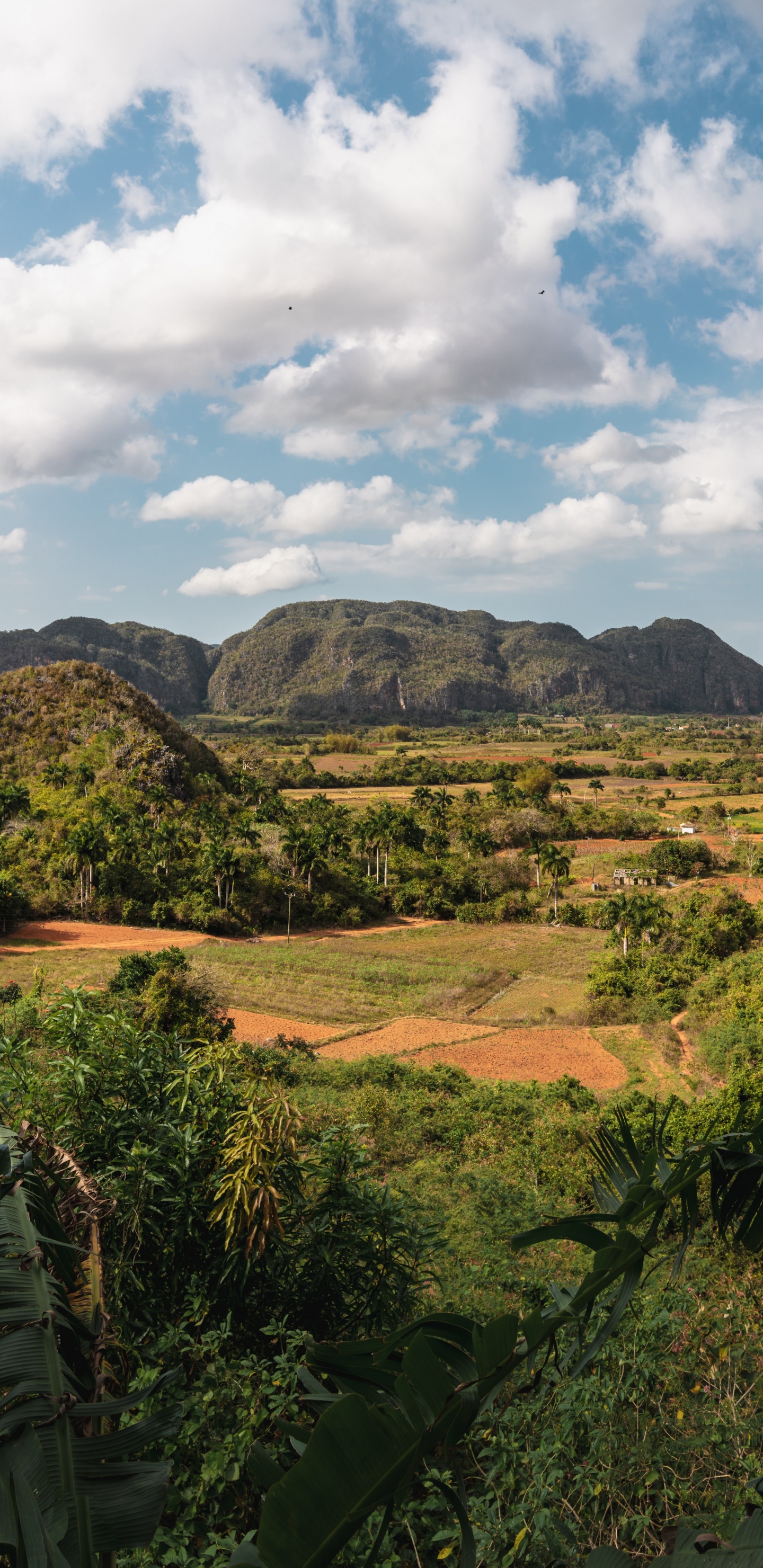 el Valle Del Silencio, le Village, Havana, Brisas Del Caribe, Luberon. Wallpaper in 1440x2960 Resolution