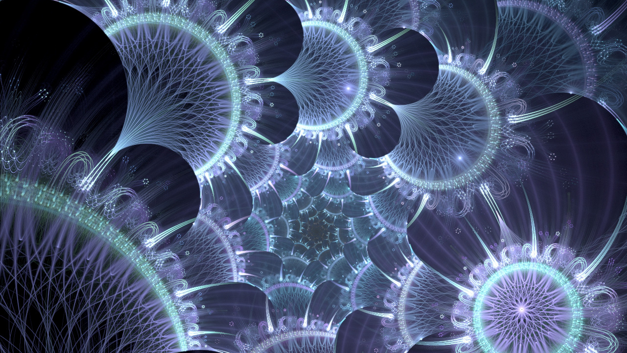 Pétales de Fleurs Blanches et Brunes. Wallpaper in 1280x720 Resolution