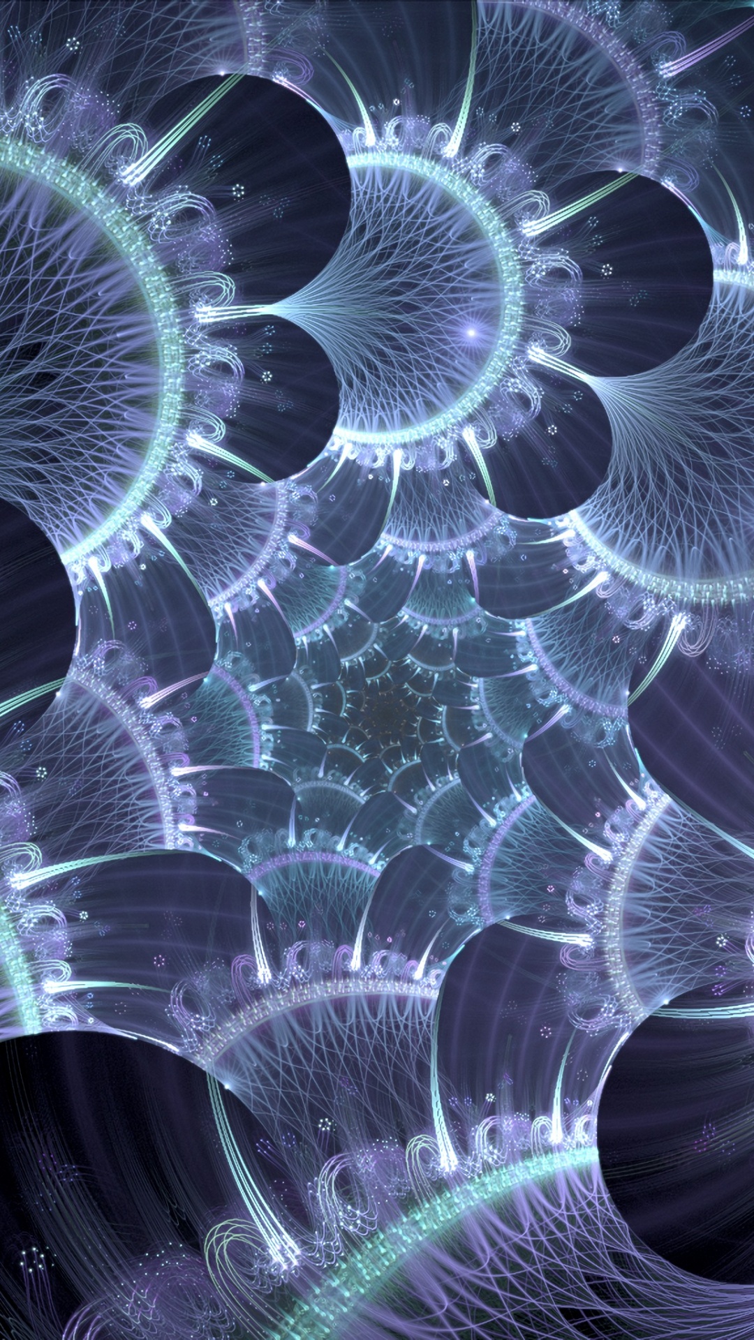 White and Brown Flower Petals. Wallpaper in 1080x1920 Resolution