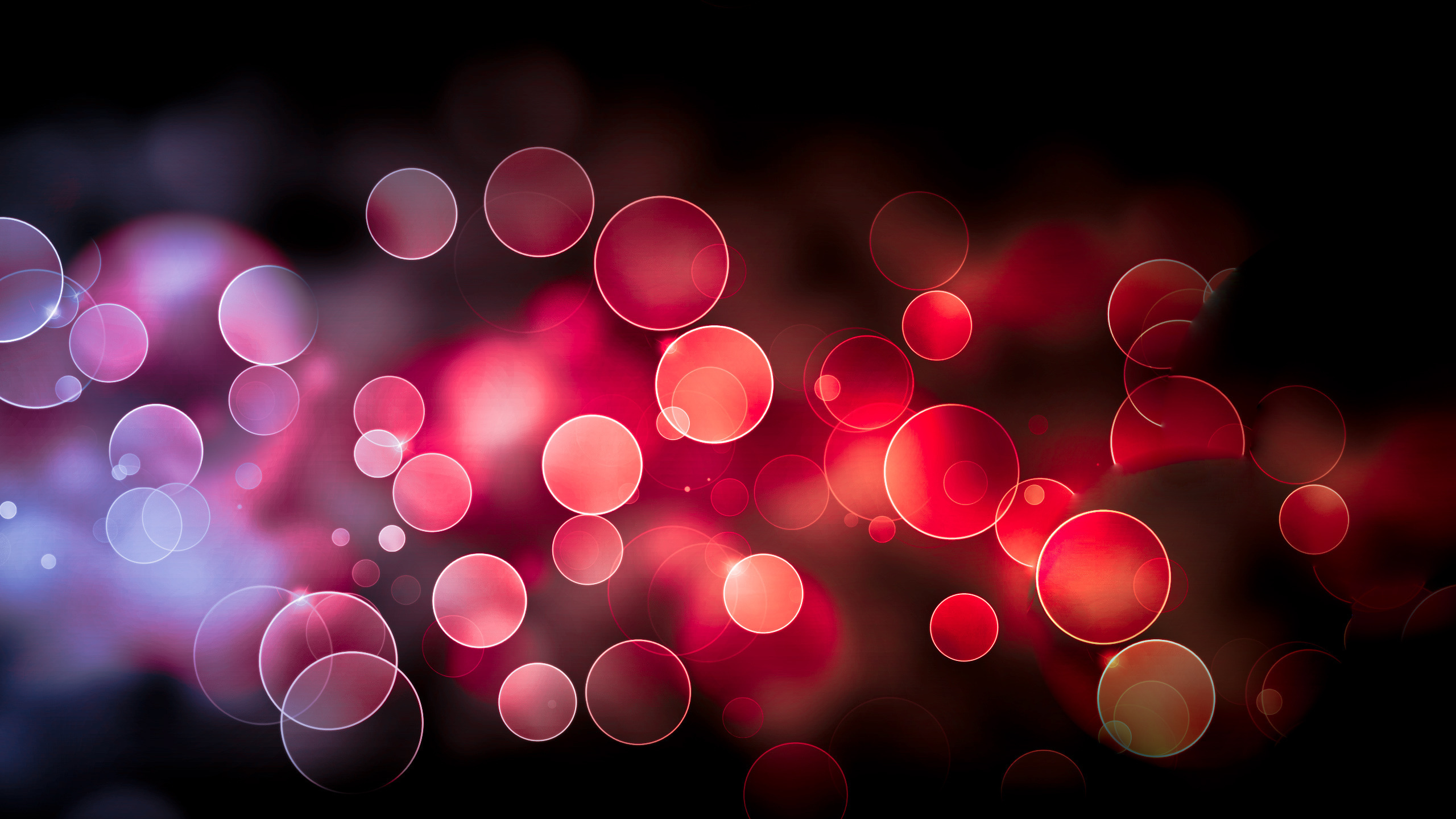 红色的, 光, 粉红色, 品红色, 橙色 壁纸 2560x1440 允许