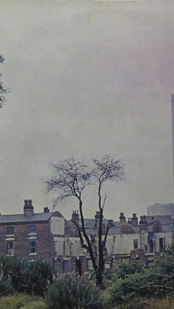 Brown Concrete Building Near Green Trees During Daytime. Wallpaper in 720x1280 Resolution