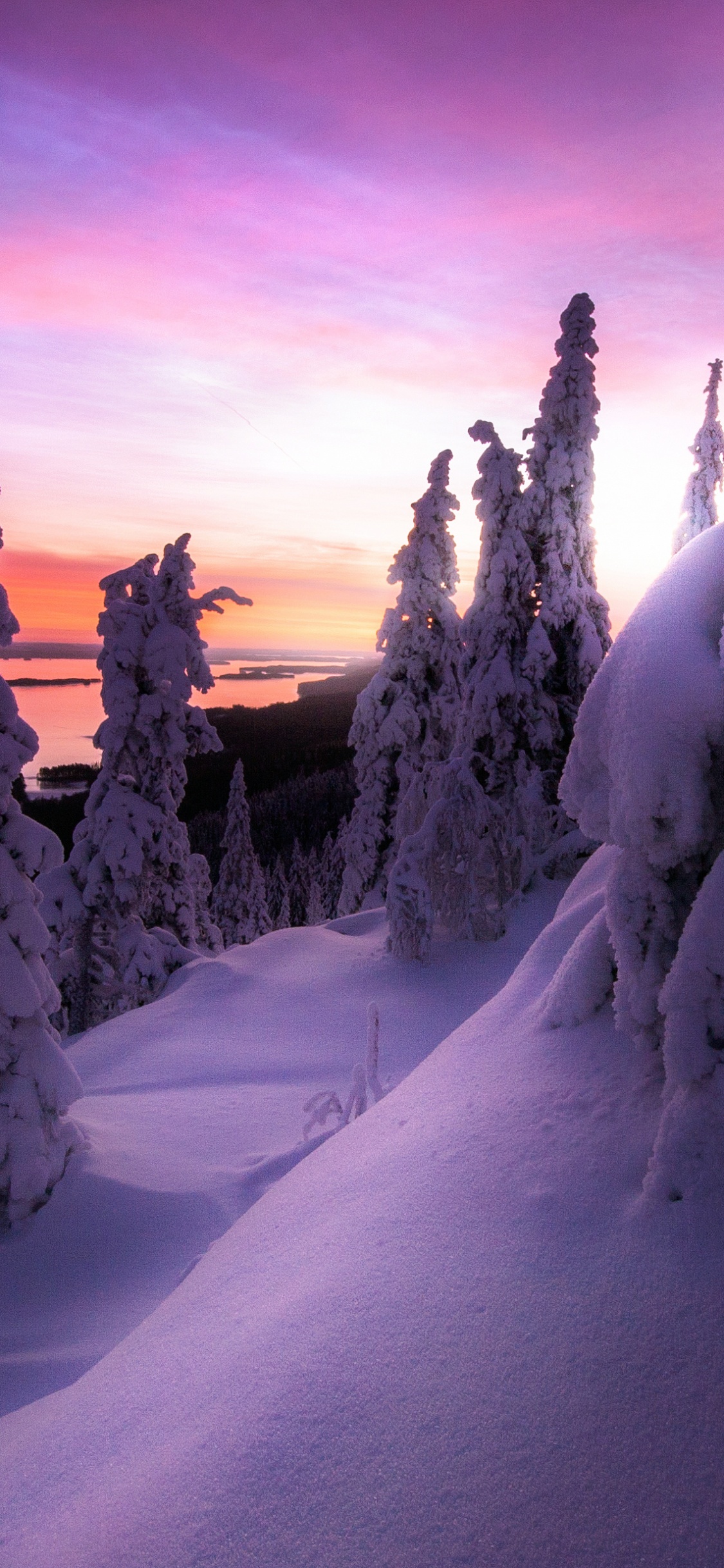 Nieve Atardecer Finlandia, Nieve, Parque Nacional Koli, Invierno, Ambiente. Wallpaper in 1125x2436 Resolution