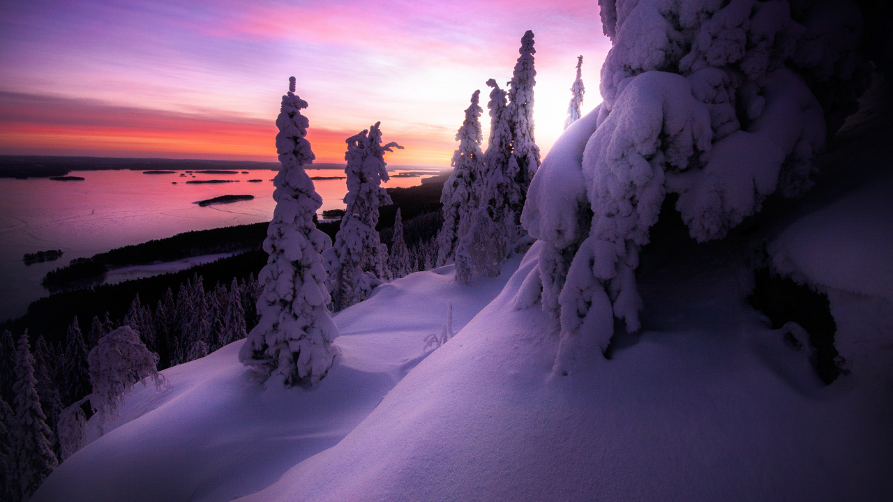 Nieve Atardecer Finlandia, Nieve, Parque Nacional Koli, Invierno, Ambiente. Wallpaper in 1280x720 Resolution