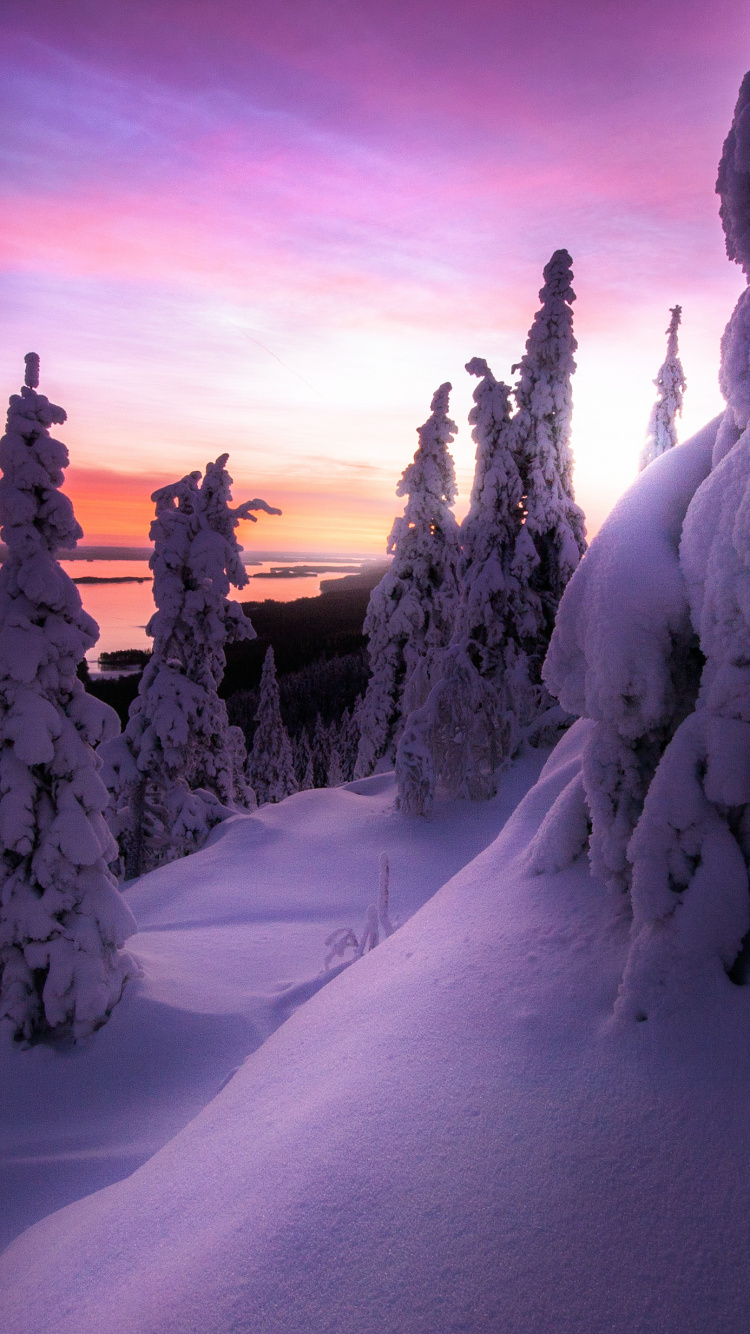 Nieve Atardecer Finlandia, Nieve, Parque Nacional Koli, Invierno, Ambiente. Wallpaper in 750x1334 Resolution