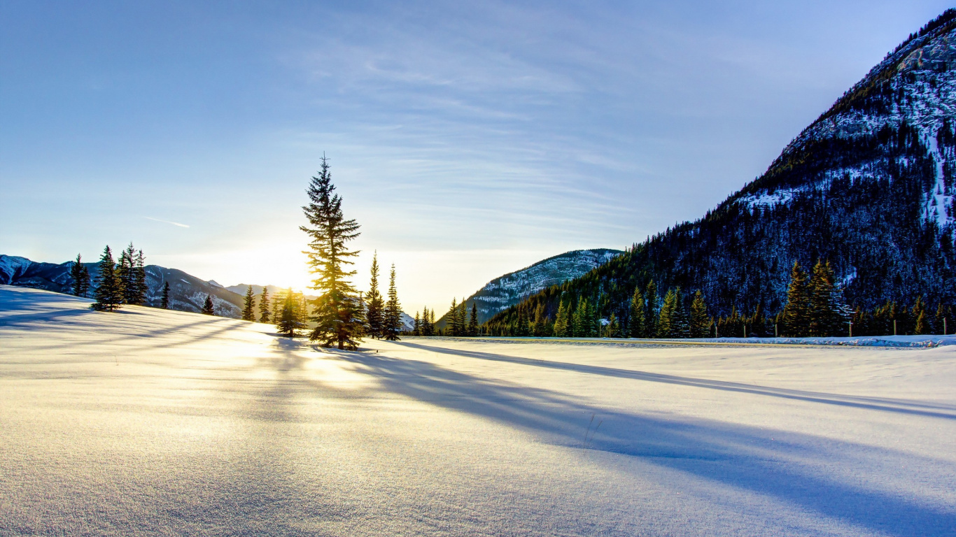Route Couverte de Neige Près Des Arbres et de la Montagne Pendant la Journée. Wallpaper in 1366x768 Resolution