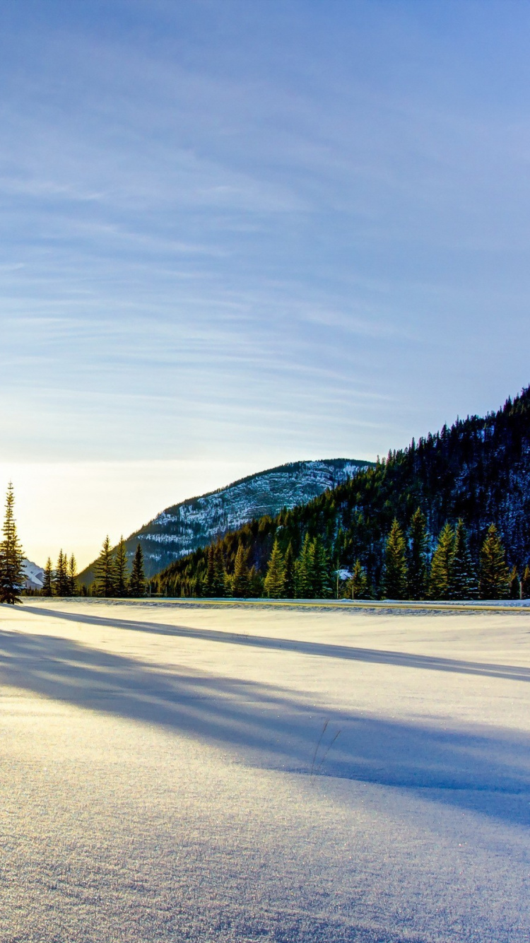 Snow Covered Road Near Trees and Mountain During Daytime. Wallpaper in 750x1334 Resolution