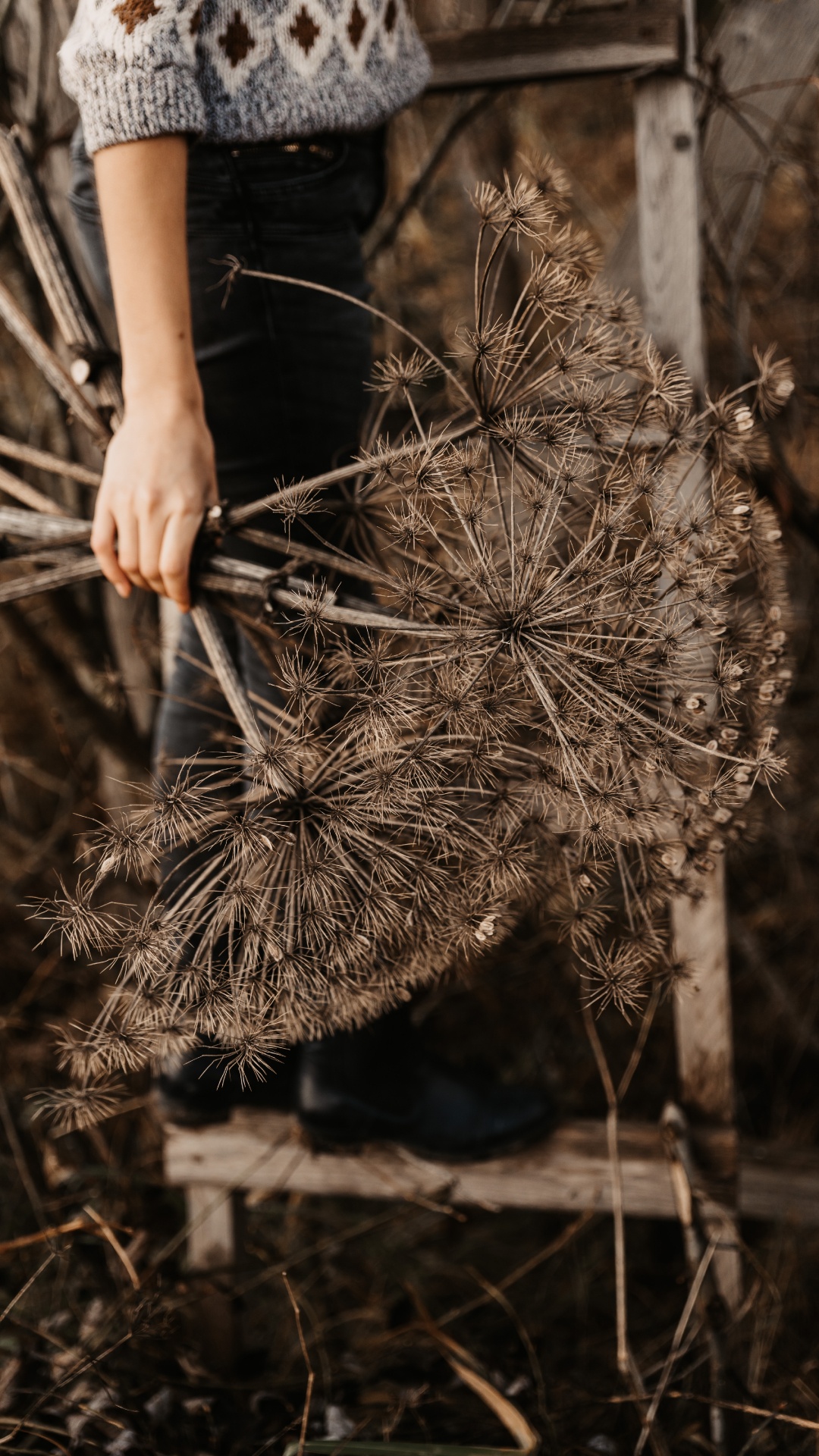 Person Holding Brown and White Plant. Wallpaper in 1080x1920 Resolution