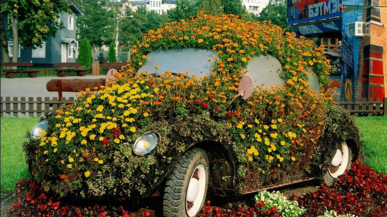 Yellow and Red Flower Petals on Green Grass. Wallpaper in 1280x720 Resolution