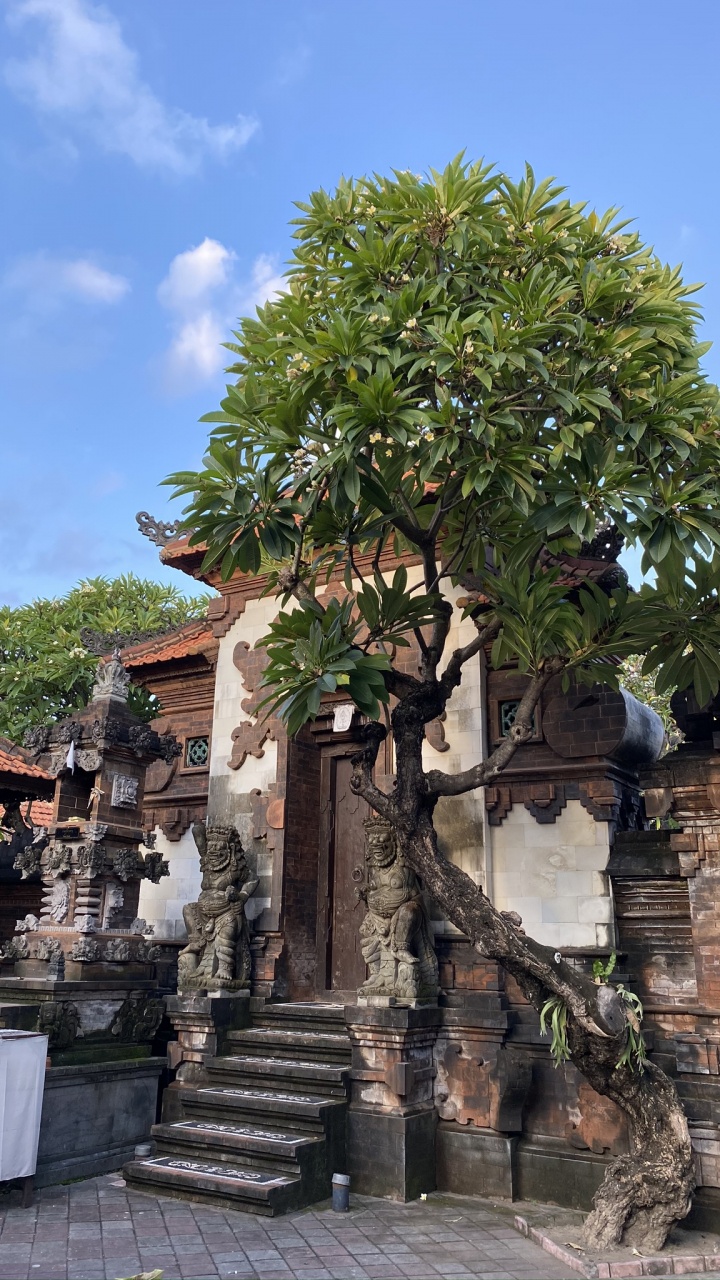 Bali, Escalier, Plantes Ligneuses, Village, Brique. Wallpaper in 720x1280 Resolution