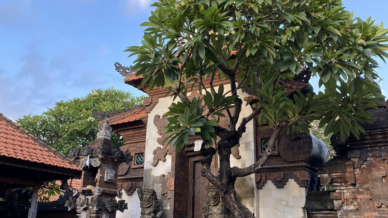 Bali, Tree, Stairs, Woody Plant, Trunk. Wallpaper in 1280x720 Resolution