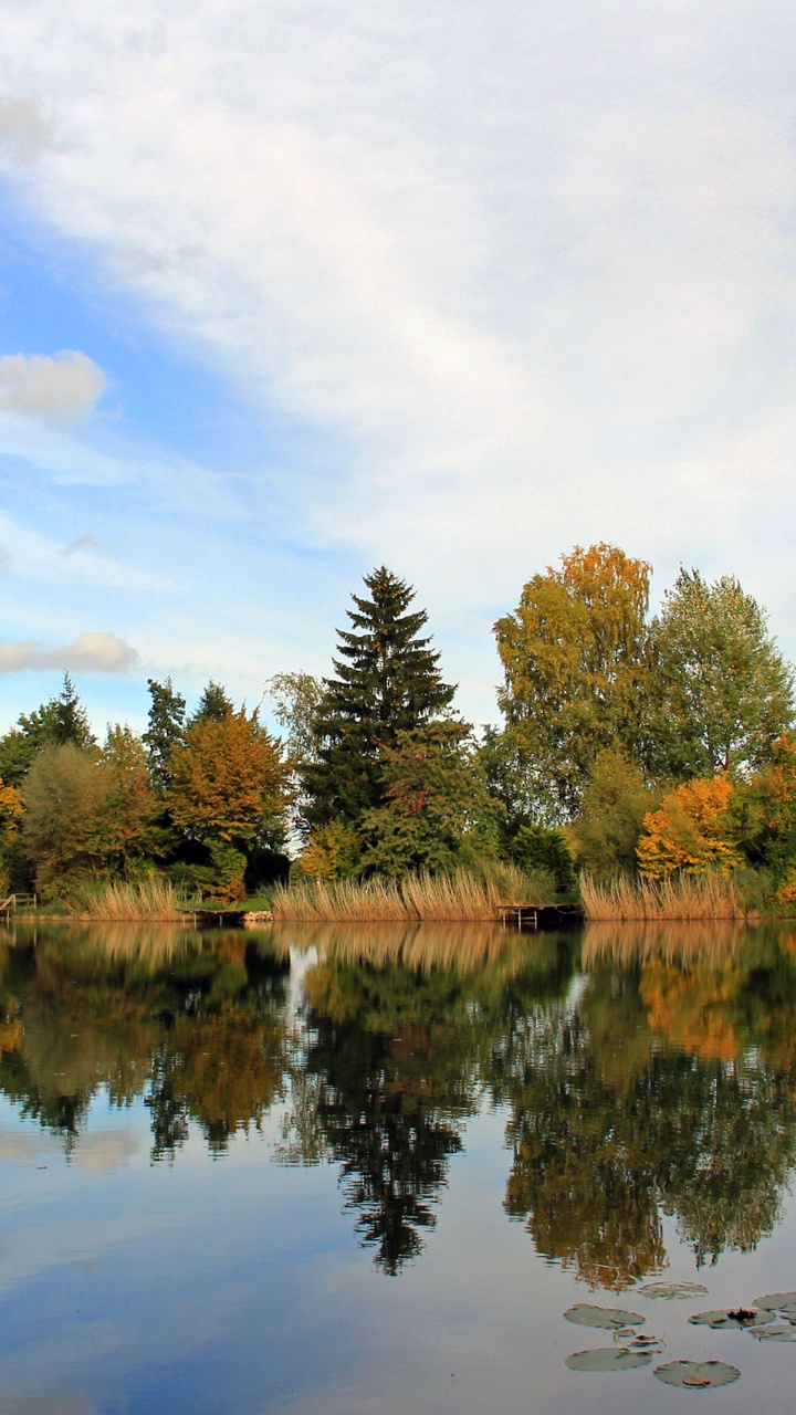 Arbres Verts et Bruns au Bord du Lac Sous Des Nuages Blancs et un Ciel Bleu Pendant la Journée. Wallpaper in 720x1280 Resolution