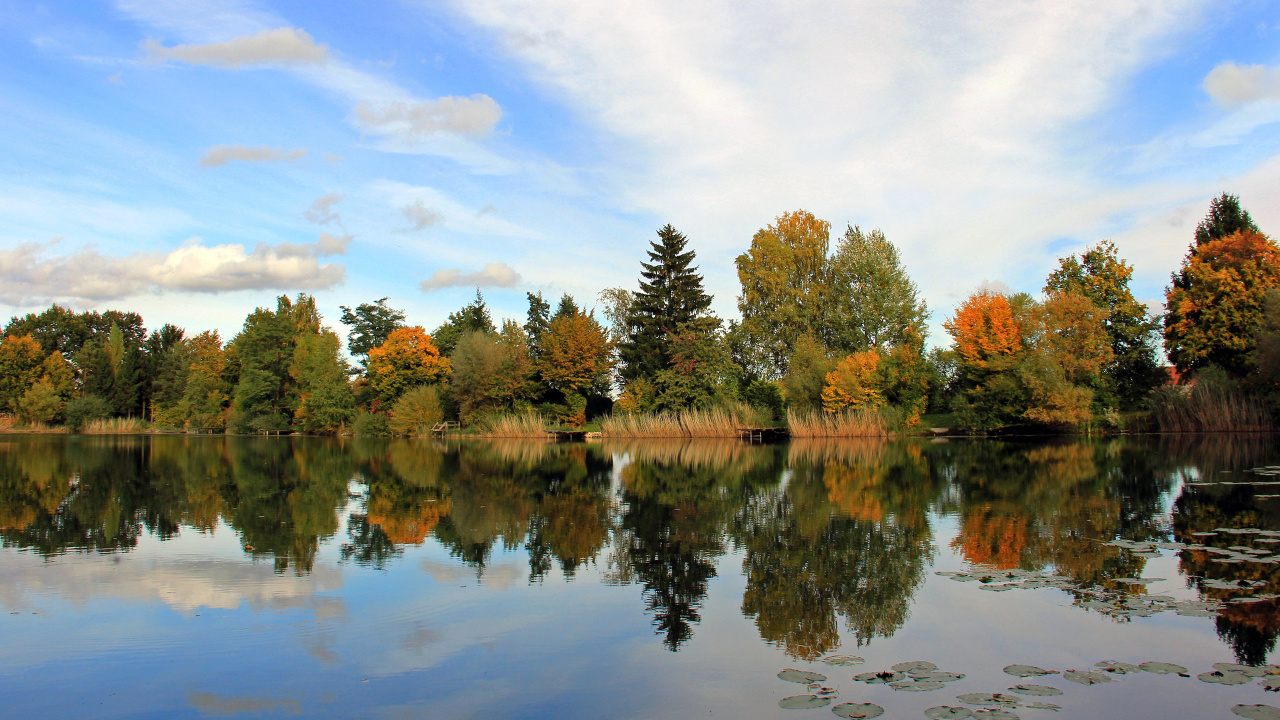 Green and Brown Trees Beside Lake Under White Clouds and Blue Sky During Daytime. Wallpaper in 1280x720 Resolution