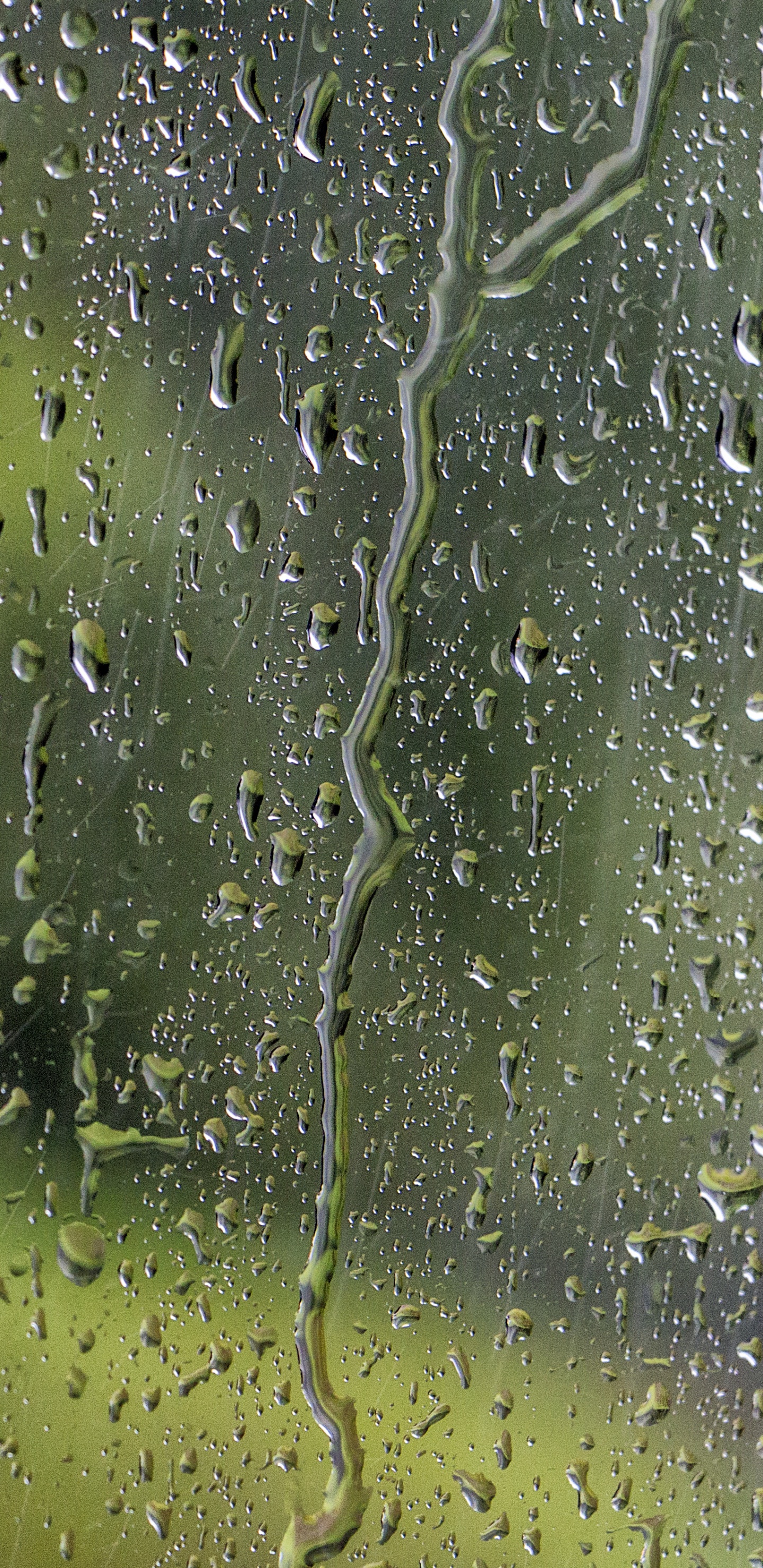 Wassertropfen Auf Glasfenster. Wallpaper in 1440x2960 Resolution