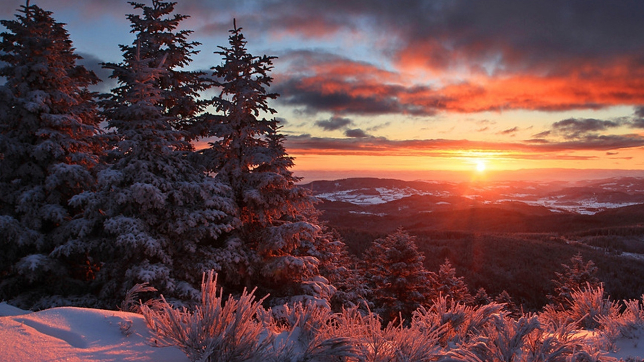 Arbres Verts Sur le Sol Couvert de Neige Pendant le Coucher du Soleil. Wallpaper in 1280x720 Resolution