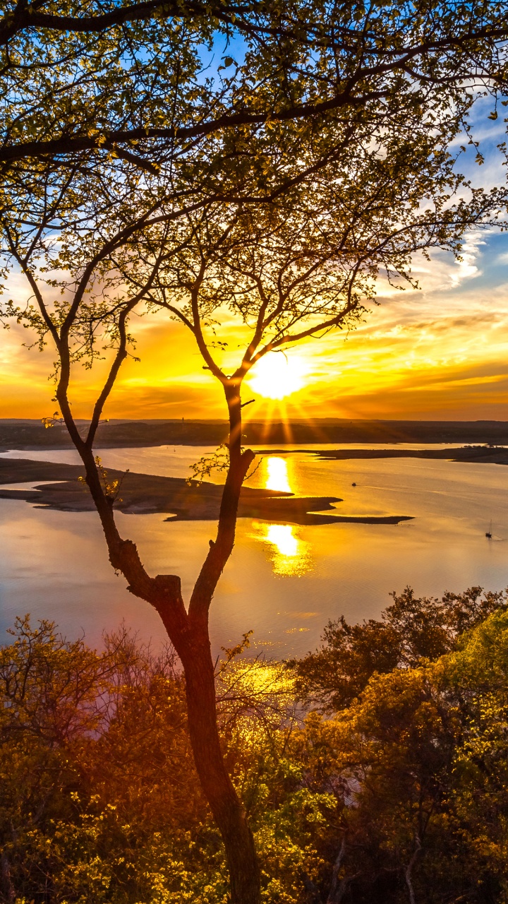 Árbol Verde Cerca Del Cuerpo de Agua Durante la Puesta de Sol. Wallpaper in 720x1280 Resolution