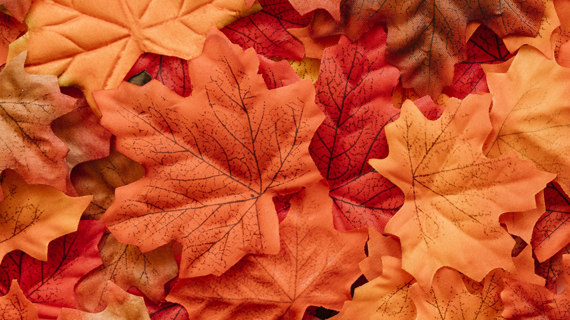 Brown Maple Leaves on Ground. Wallpaper in 1920x1080 Resolution