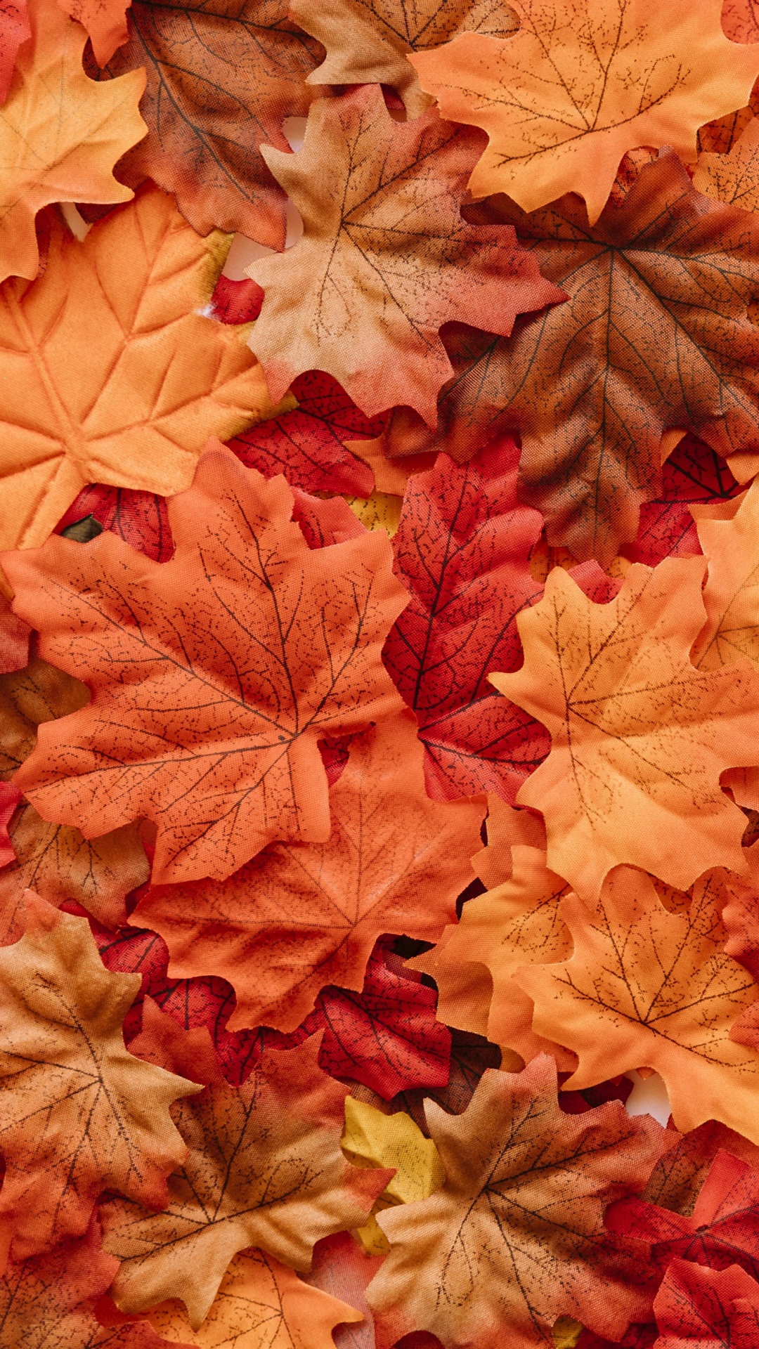 Feuilles D'érable Brunes Sur le Sol. Wallpaper in 1080x1920 Resolution