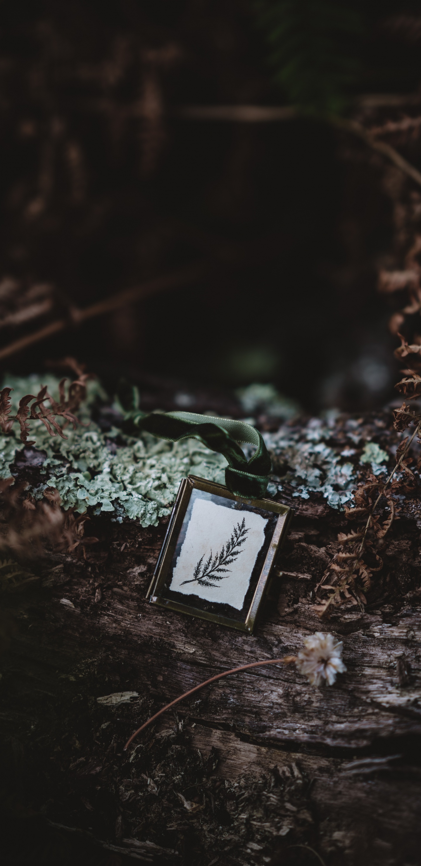 Schwarz-weiße Box Auf Dem Boden. Wallpaper in 1440x2960 Resolution