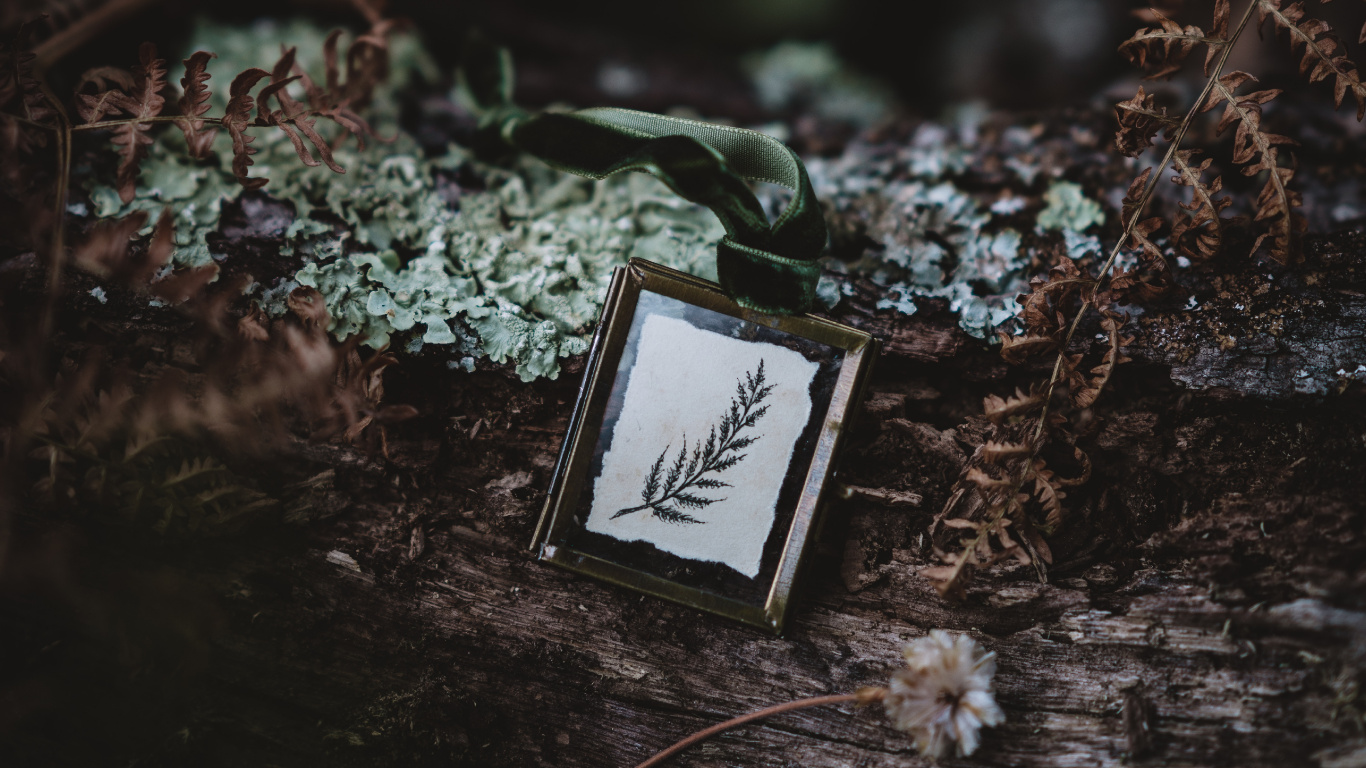 Boîte Noire et Blanche au Sol. Wallpaper in 1366x768 Resolution