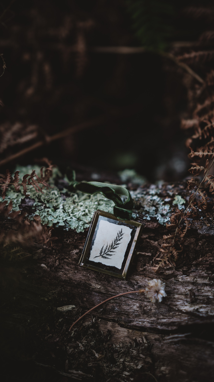 Boîte Noire et Blanche au Sol. Wallpaper in 750x1334 Resolution