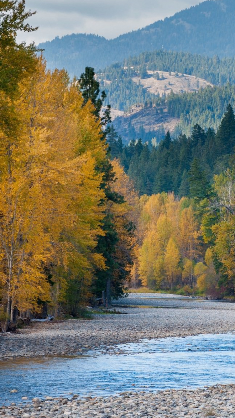 Arbres Verts et Jaunes Près du Lac Pendant la Journée. Wallpaper in 750x1334 Resolution